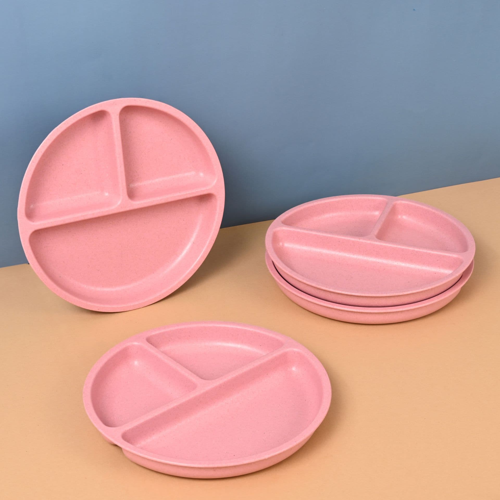 3 Partition Plate - Thulira sustainable product