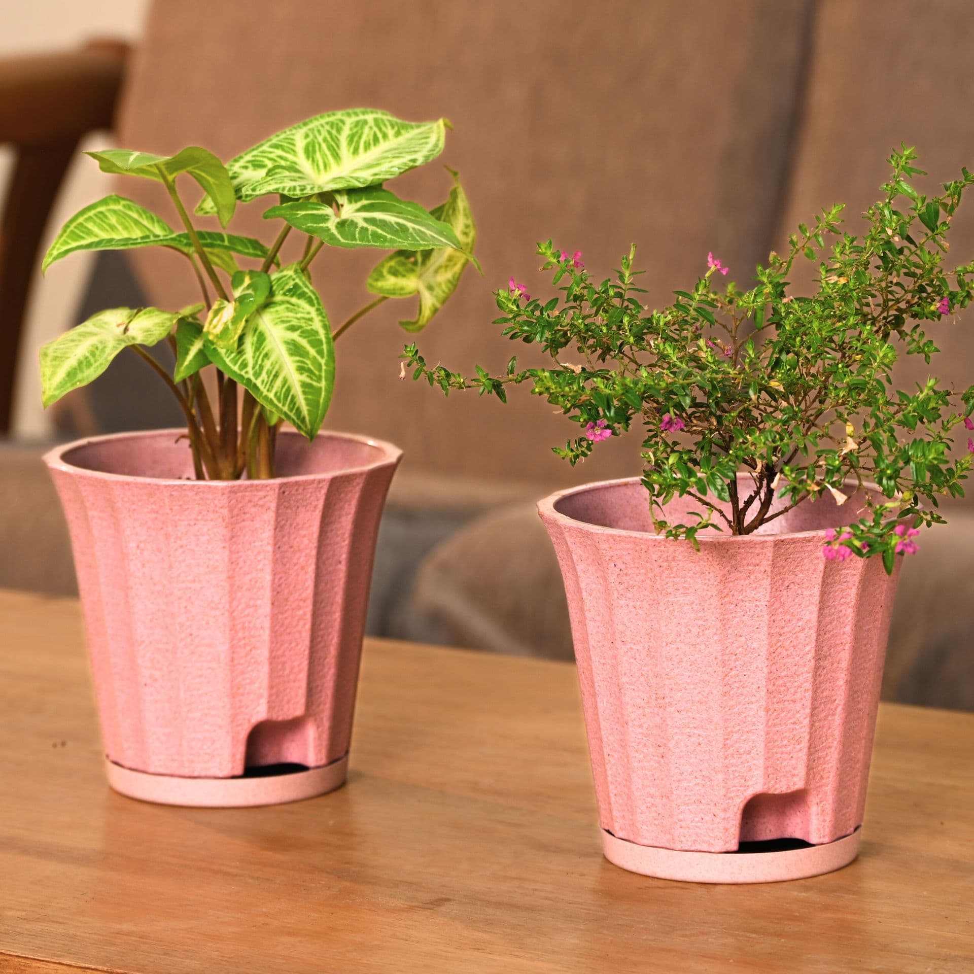 Ace Planter 5 - Thumbnail 1