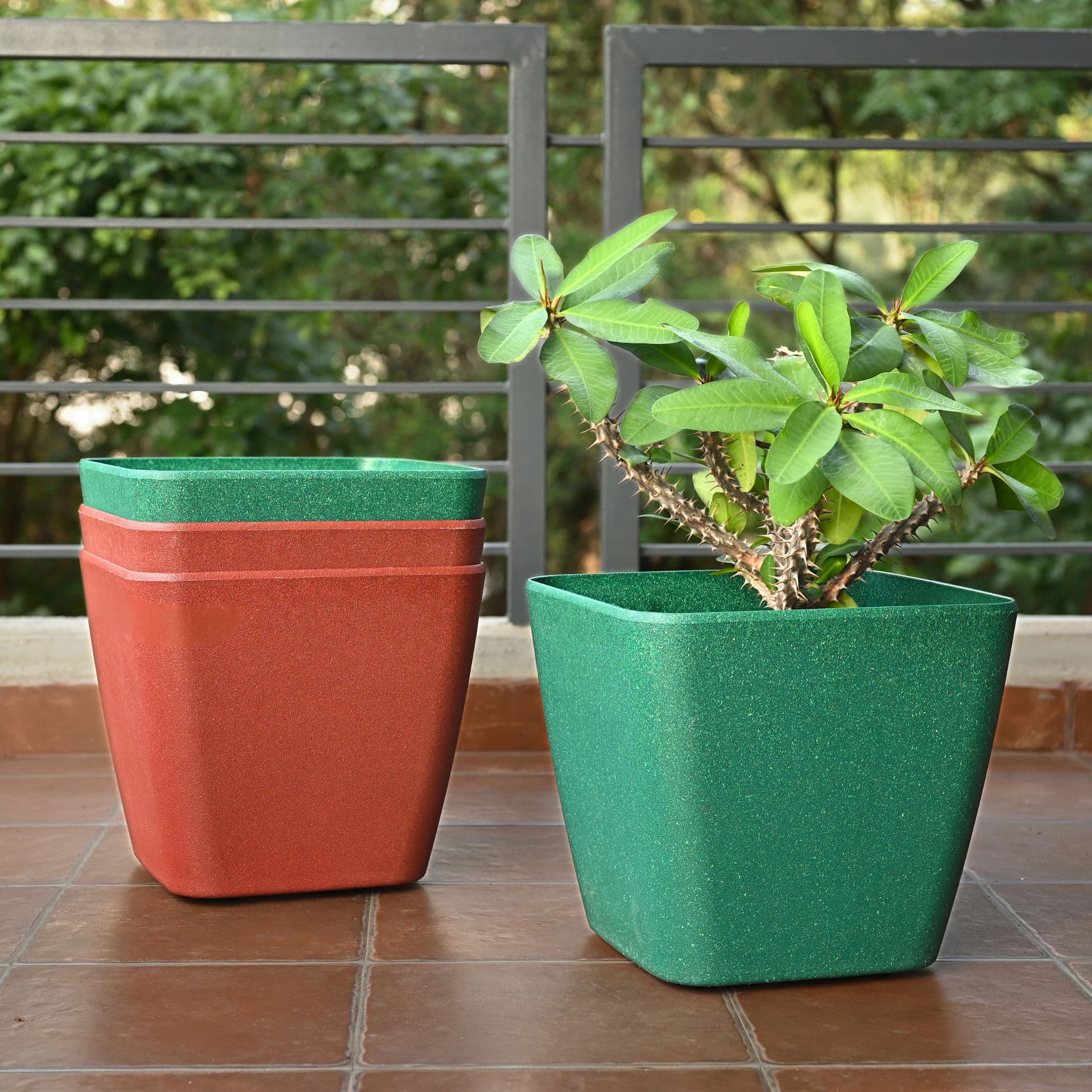Daisy Planter 4 - Thumbnail 1