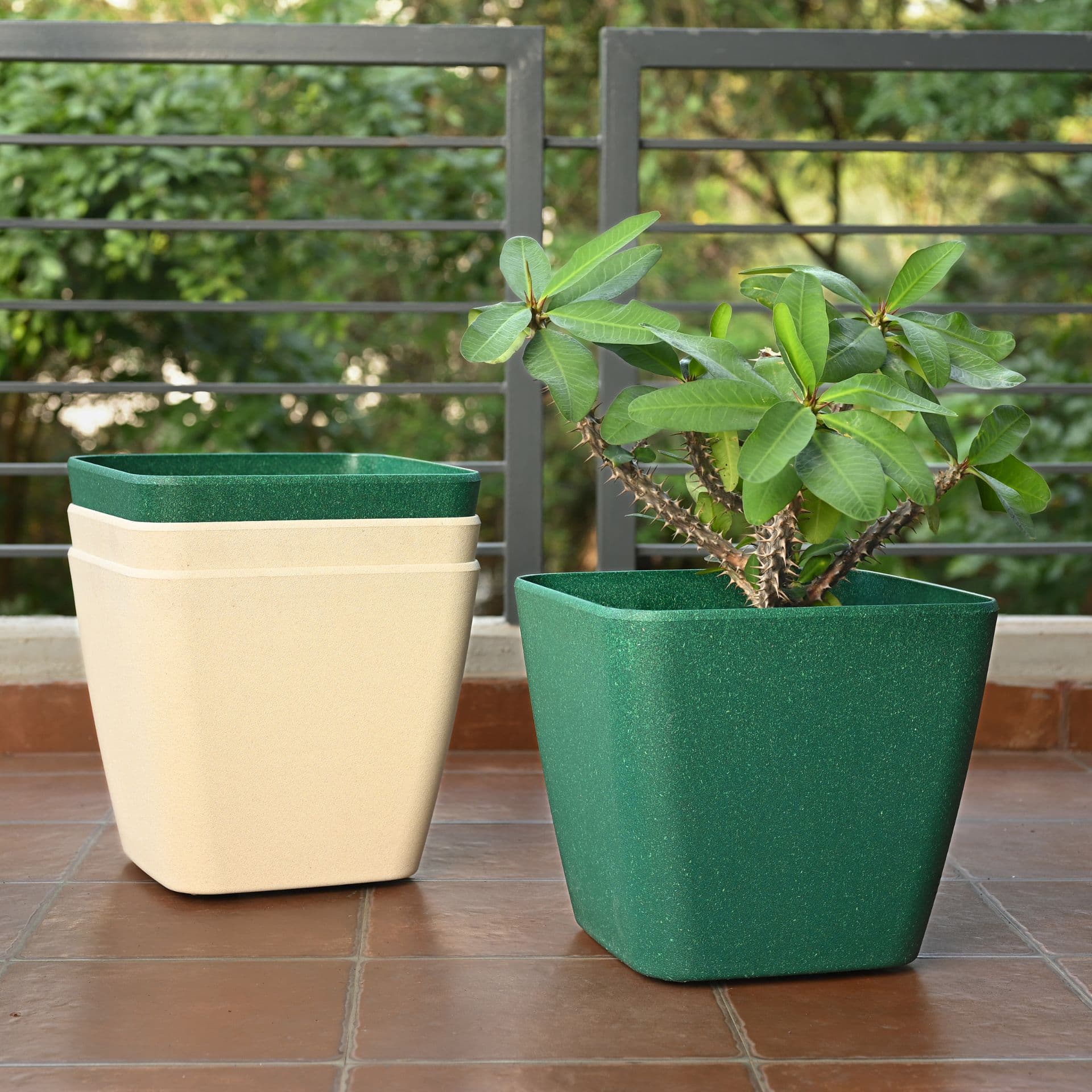 Daisy Planter 4 - Thumbnail 2