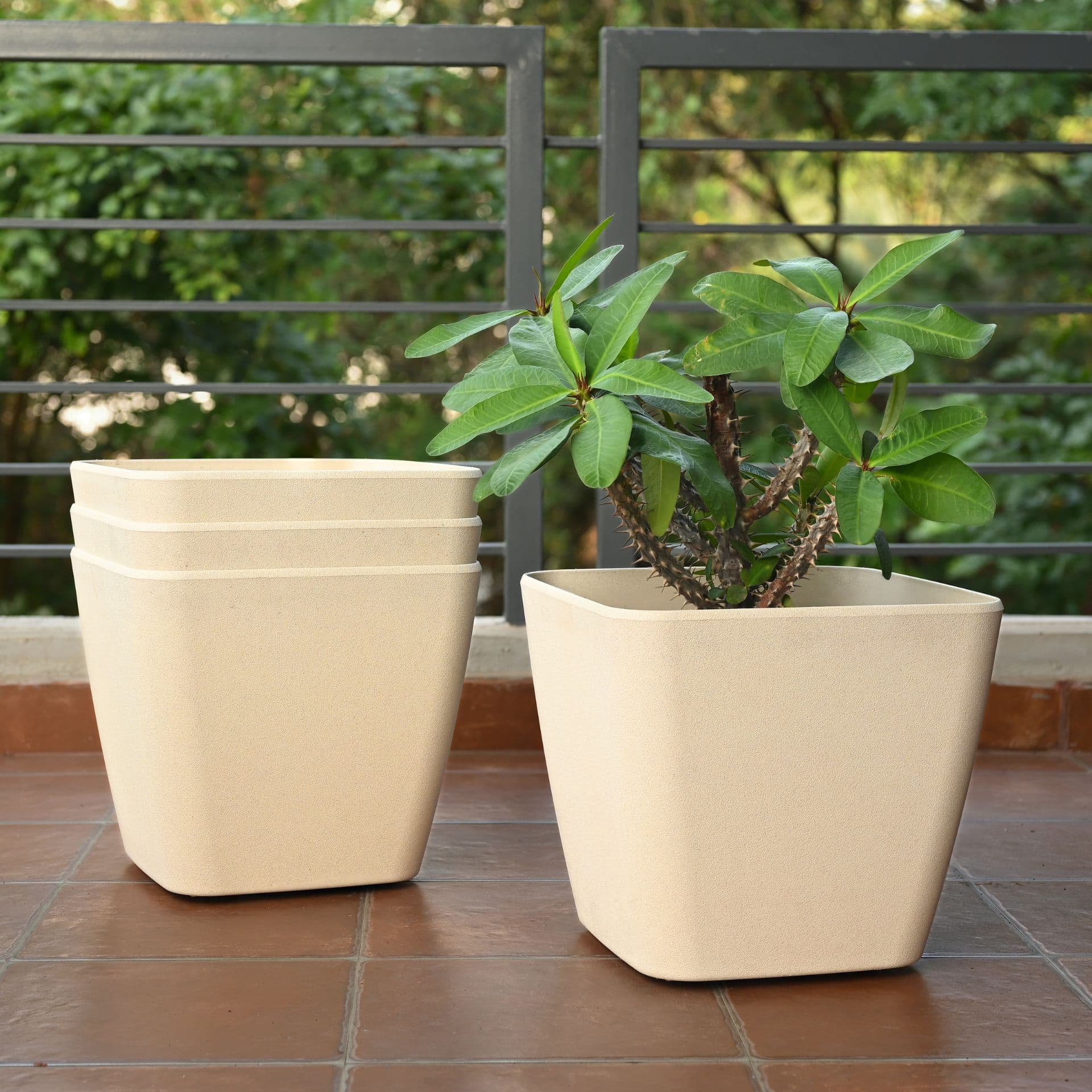 Daisy Planter 4 - Thumbnail 3
