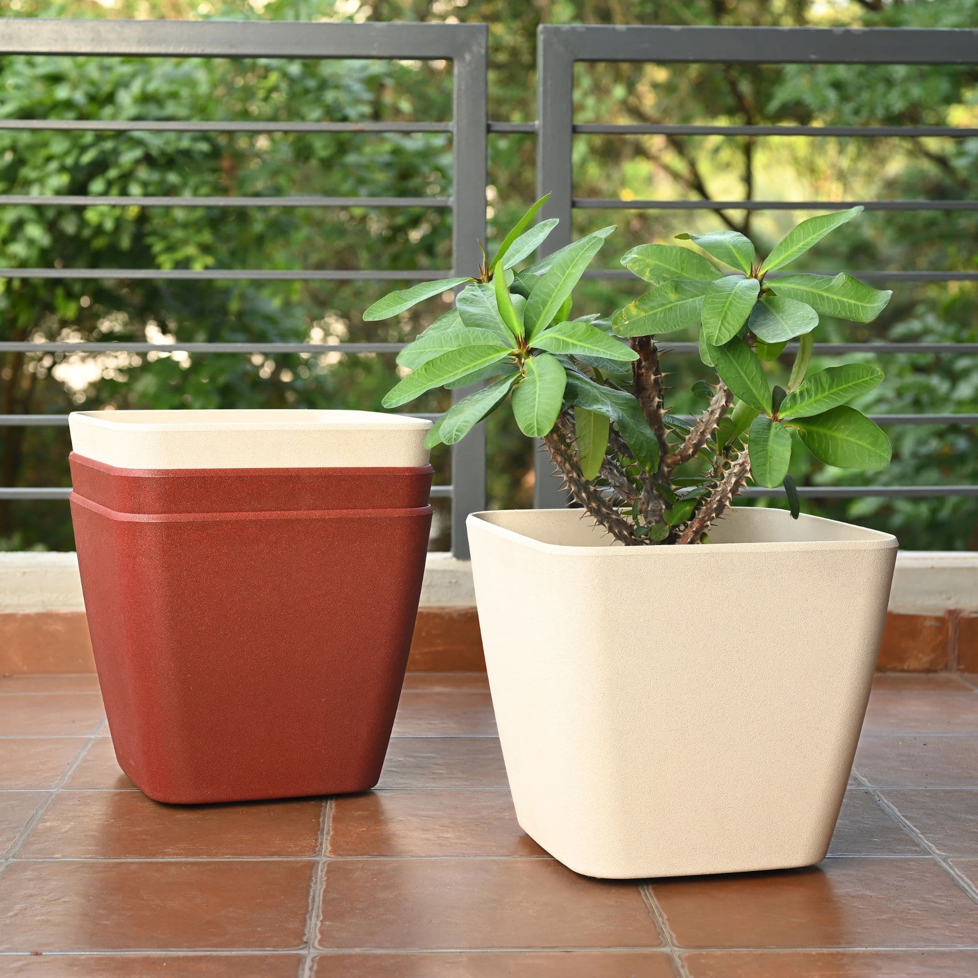 Daisy Planter 4 - Thumbnail 4