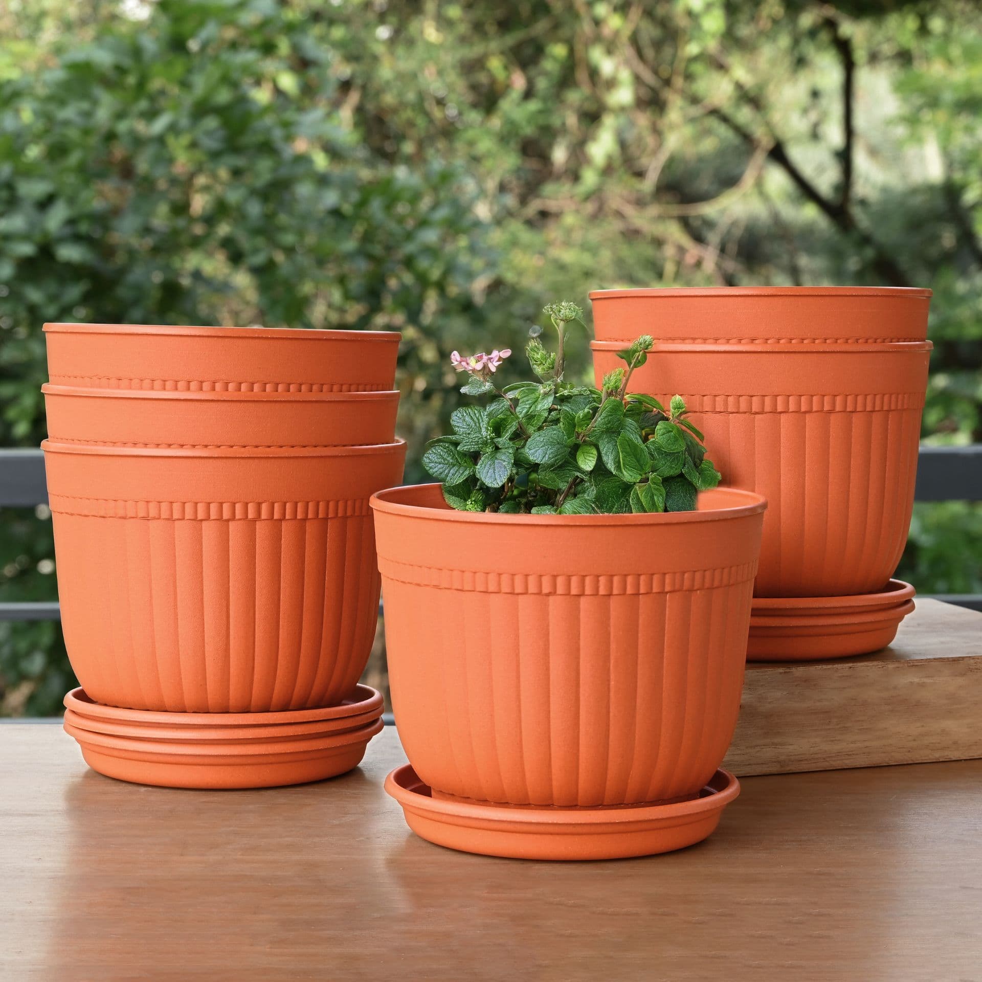 Daisy Planter 7 - Thumbnail 1