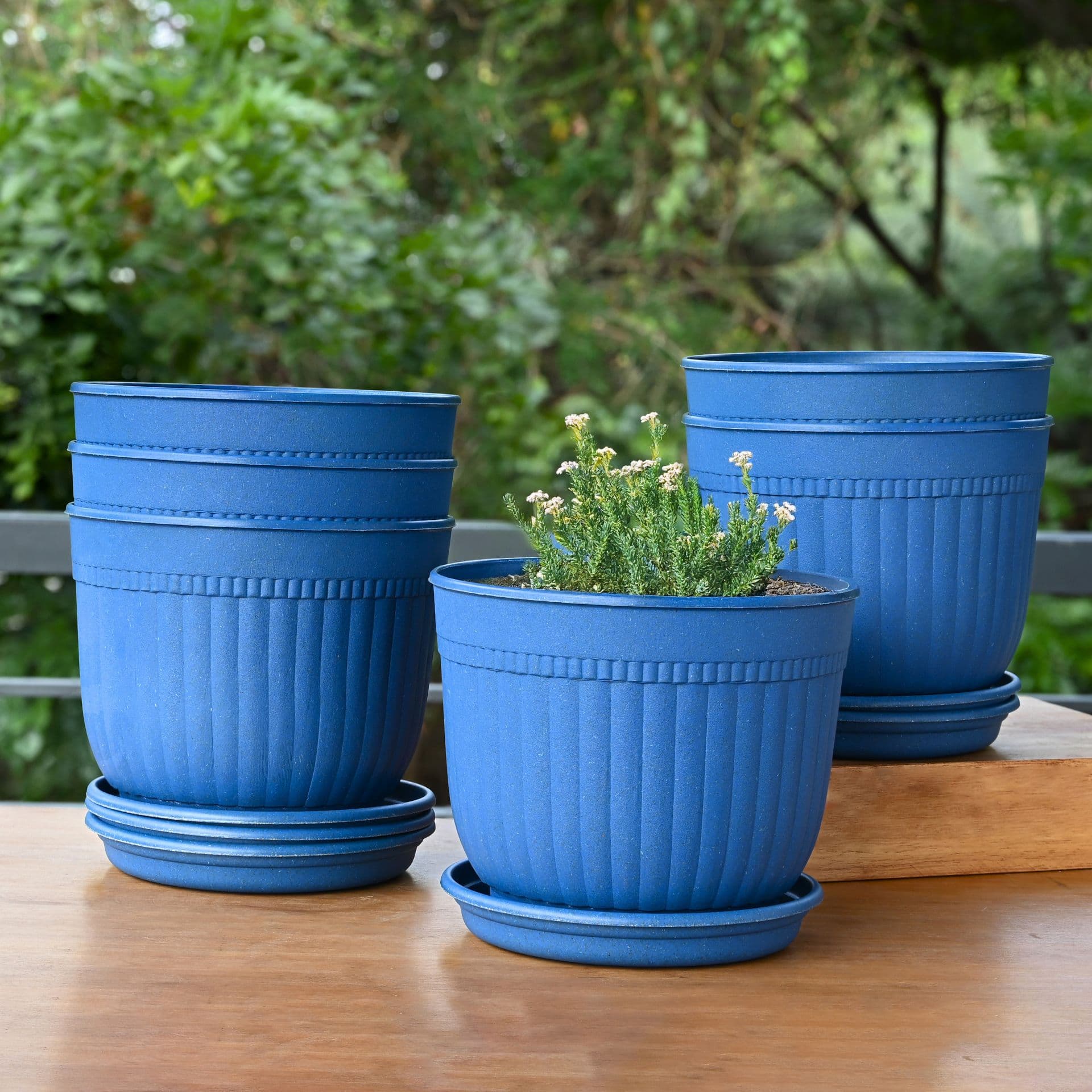 Daisy Planter 7 - Thumbnail 3