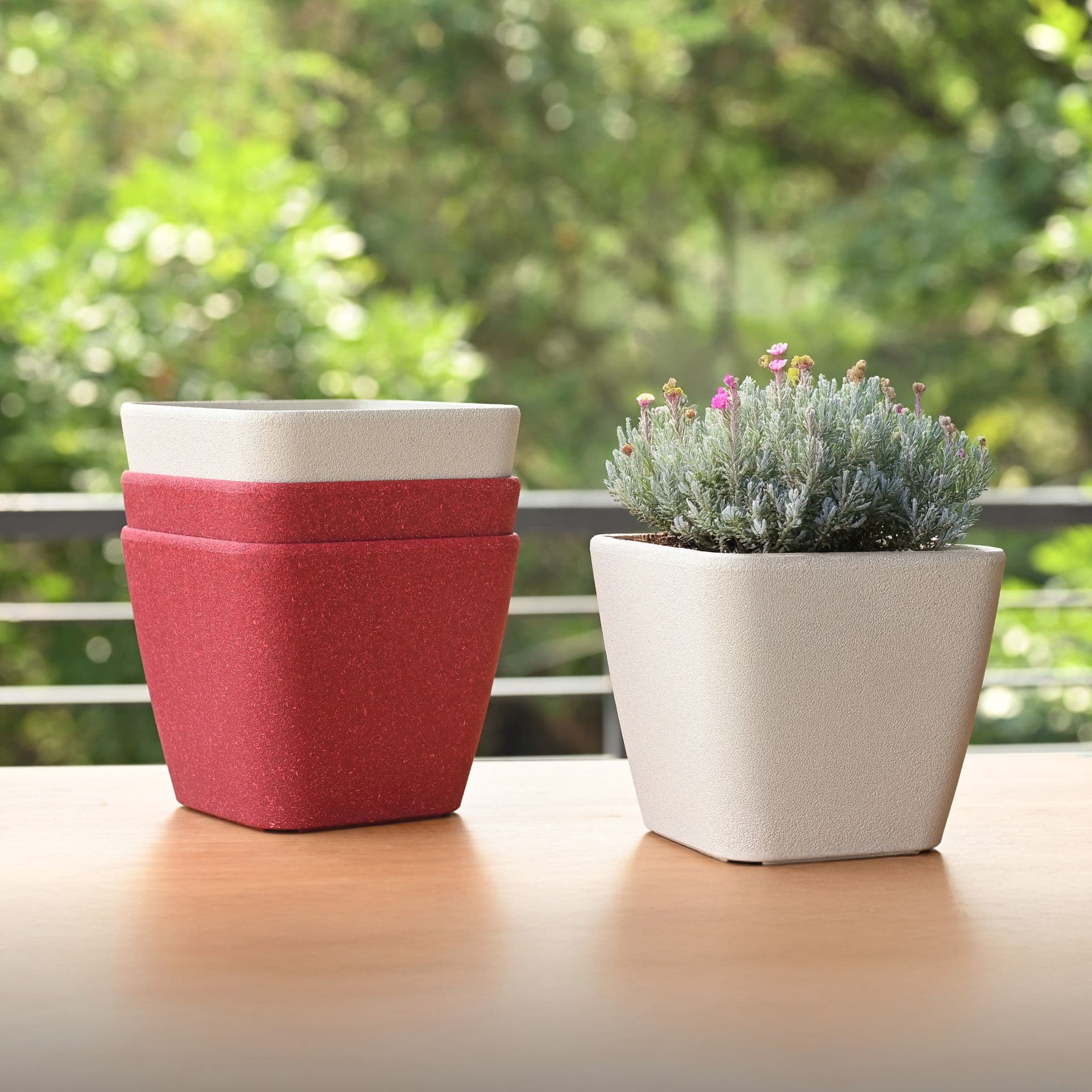 Daisy Planter 7 - Thumbnail 4