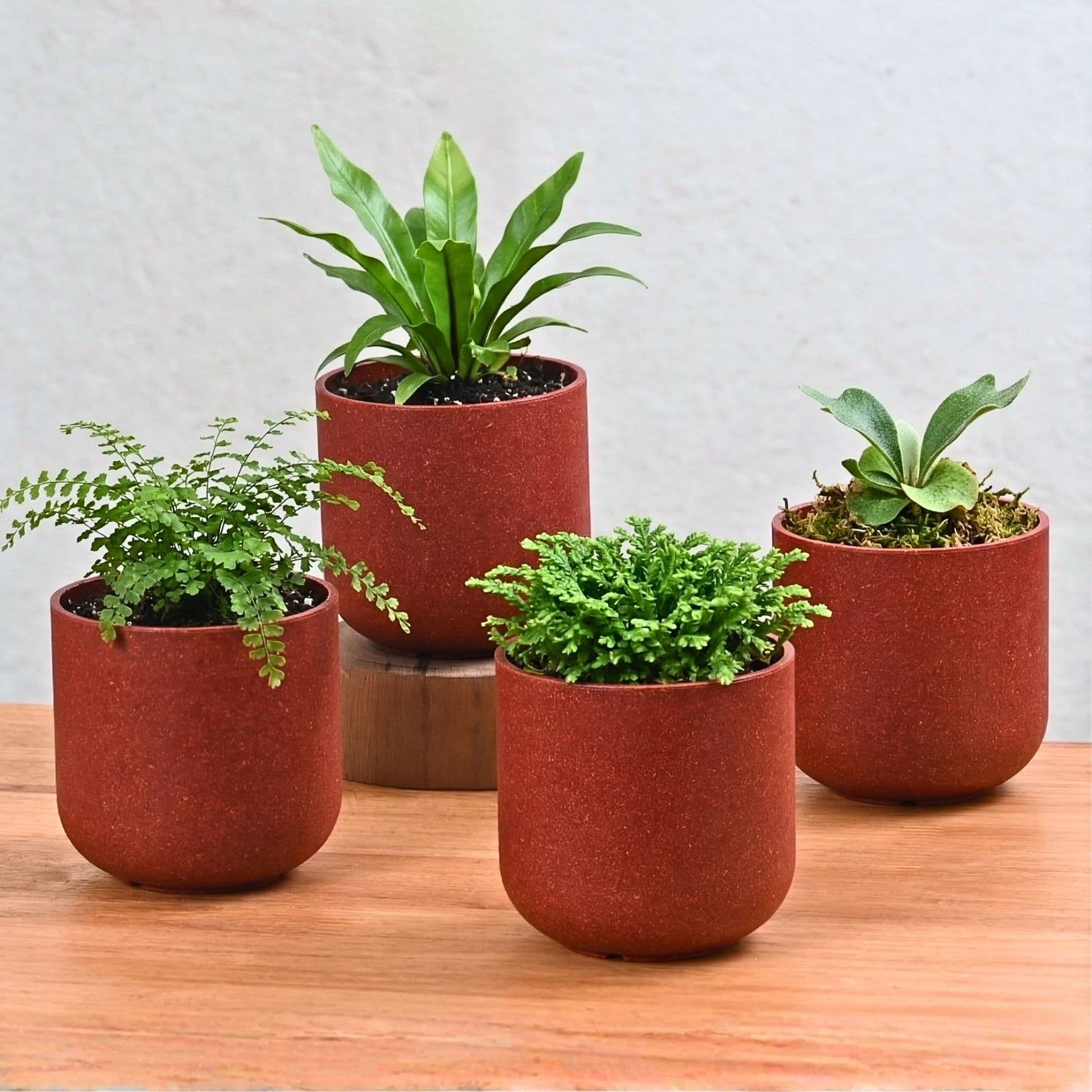 Deco Planter 4 - Thumbnail 1
