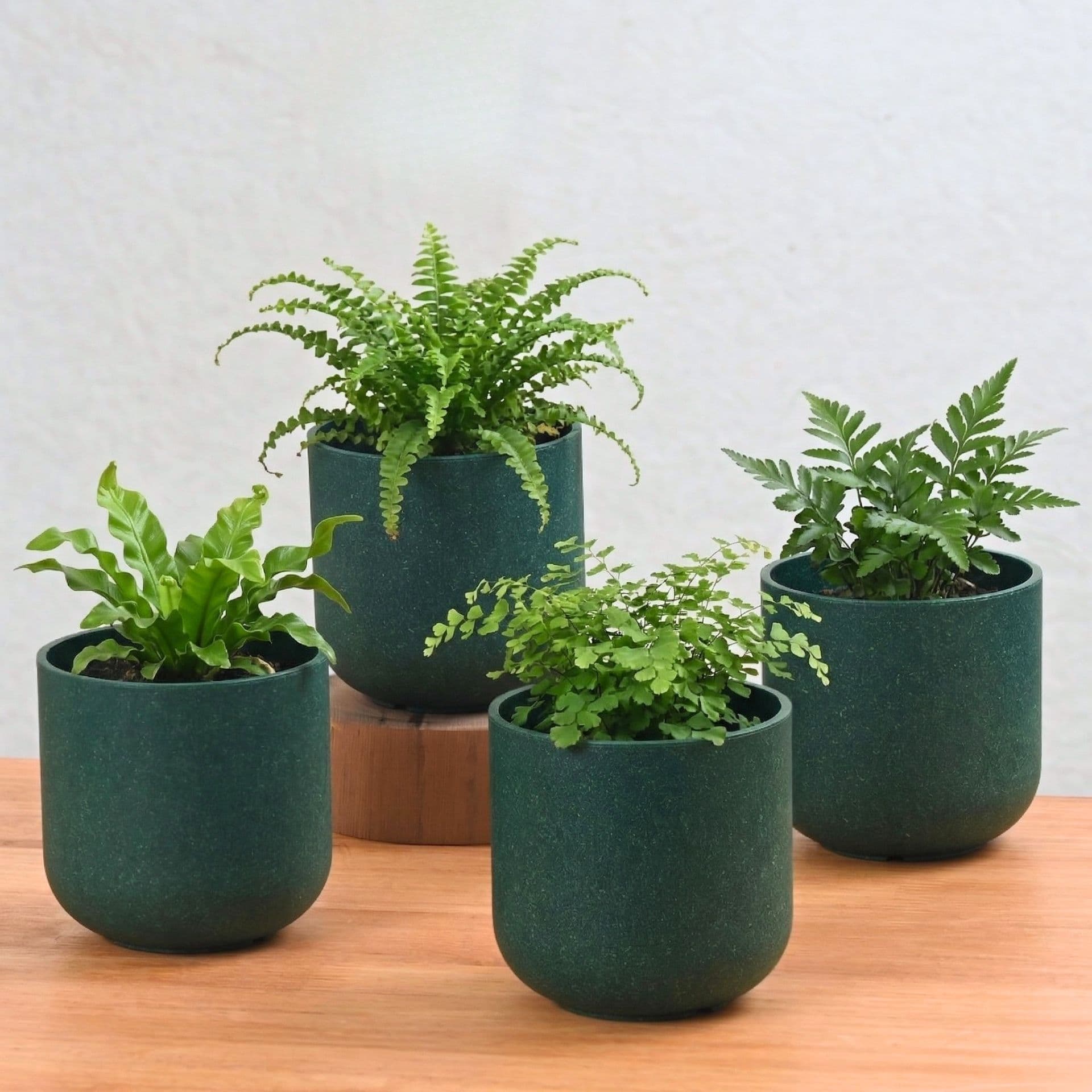 Deco Planter 4 - Thumbnail 2