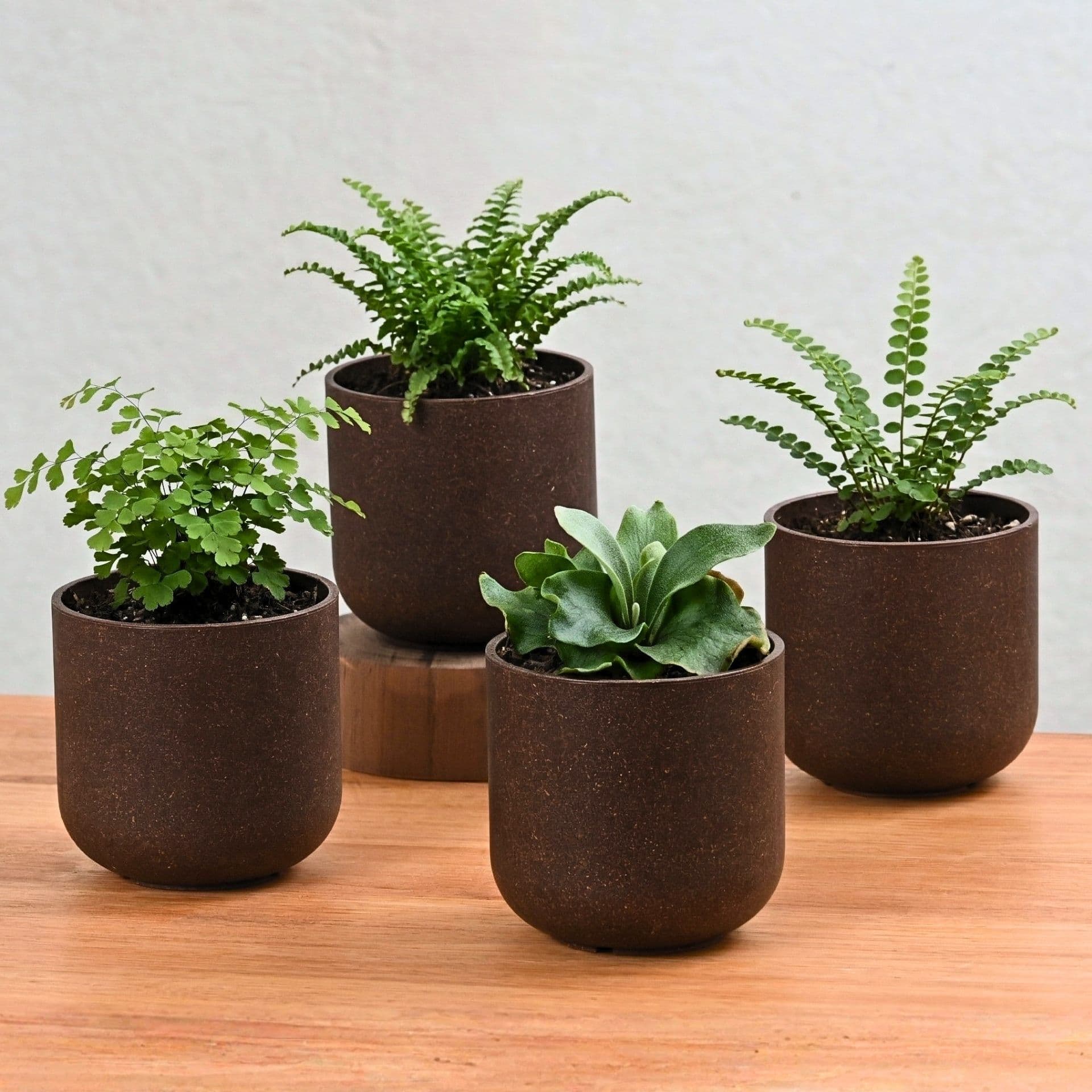 Deco Planter 4 - Thumbnail 3