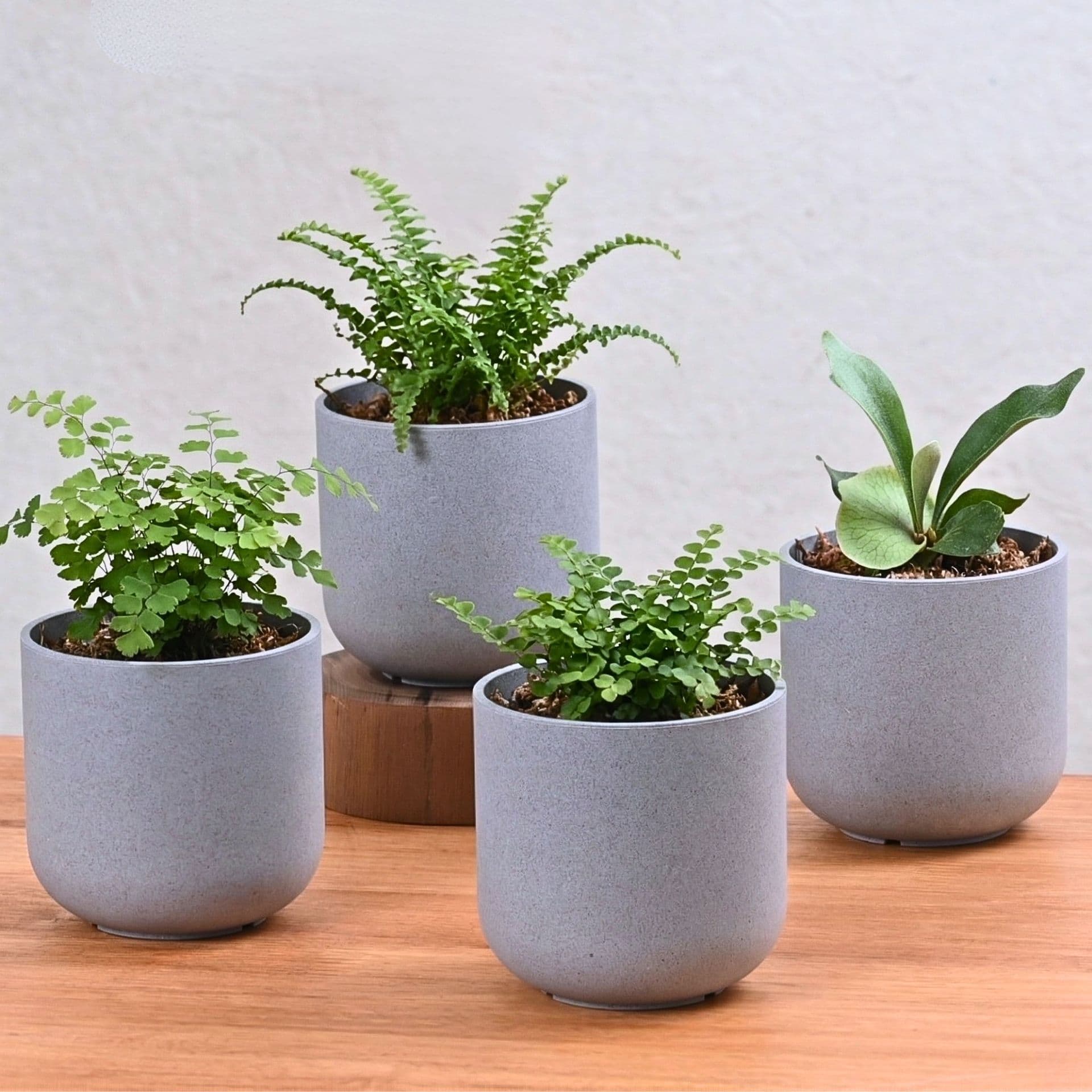 Deco Planter 4 - Thumbnail 4