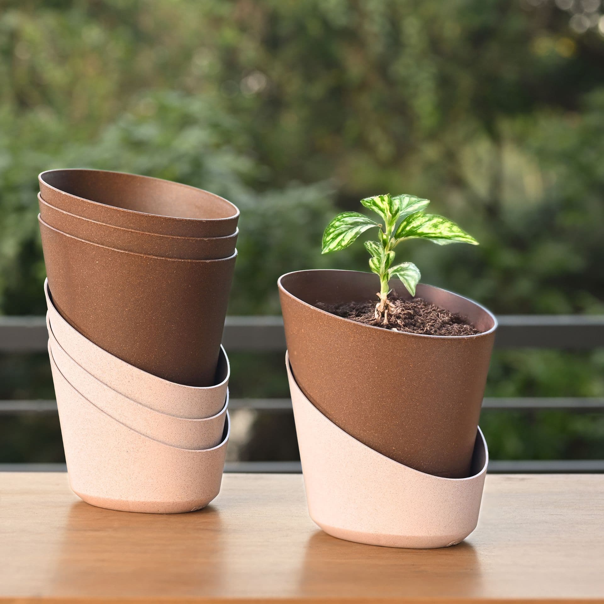 EcoBloom Planter 4 - Thumbnail 1