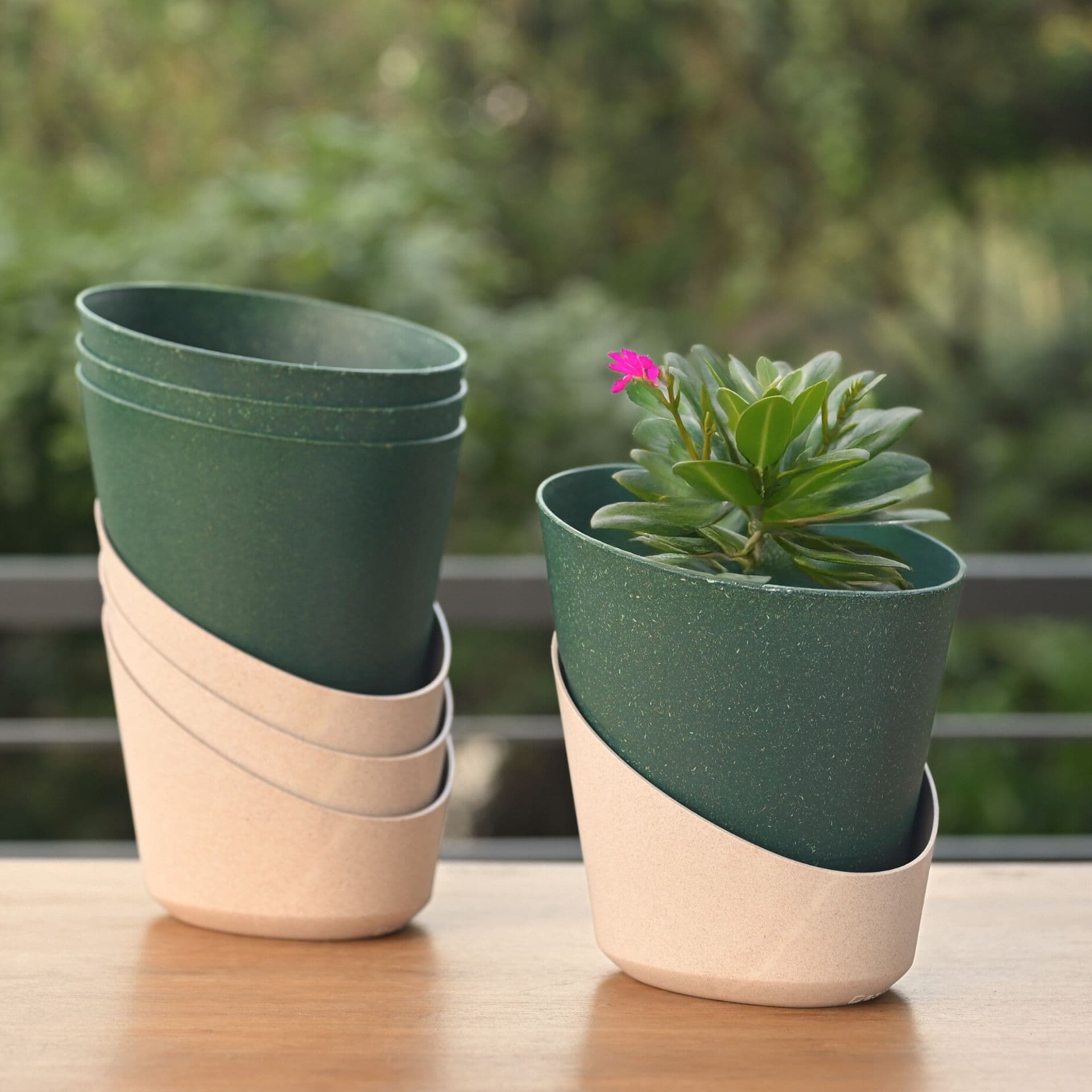 EcoBloom Planter 4 - Thumbnail 2