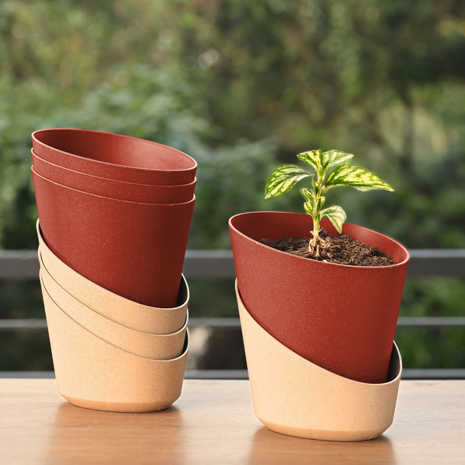EcoBloom Planter 4 - Thumbnail 3