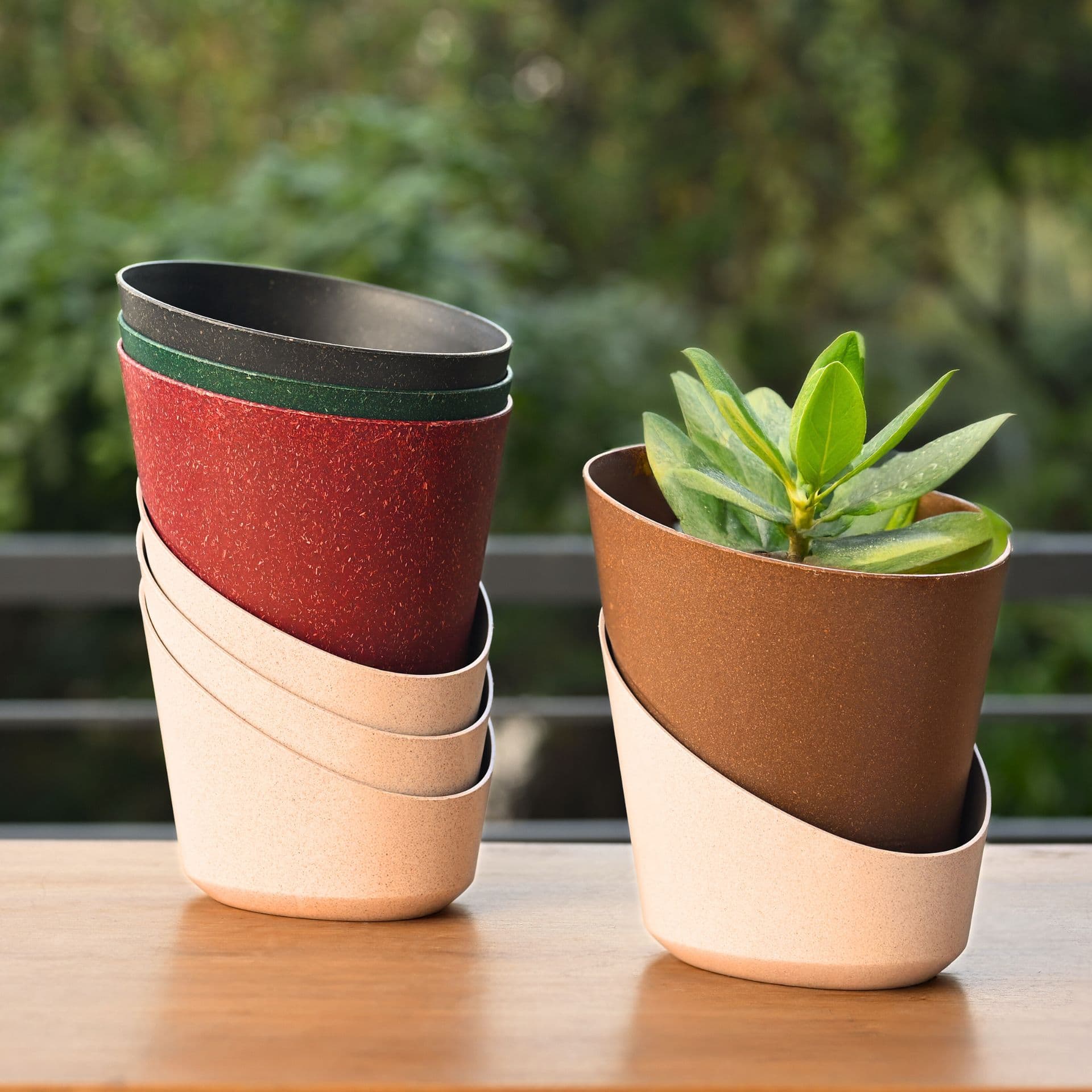 EcoBloom Planter 4 - Thumbnail 4