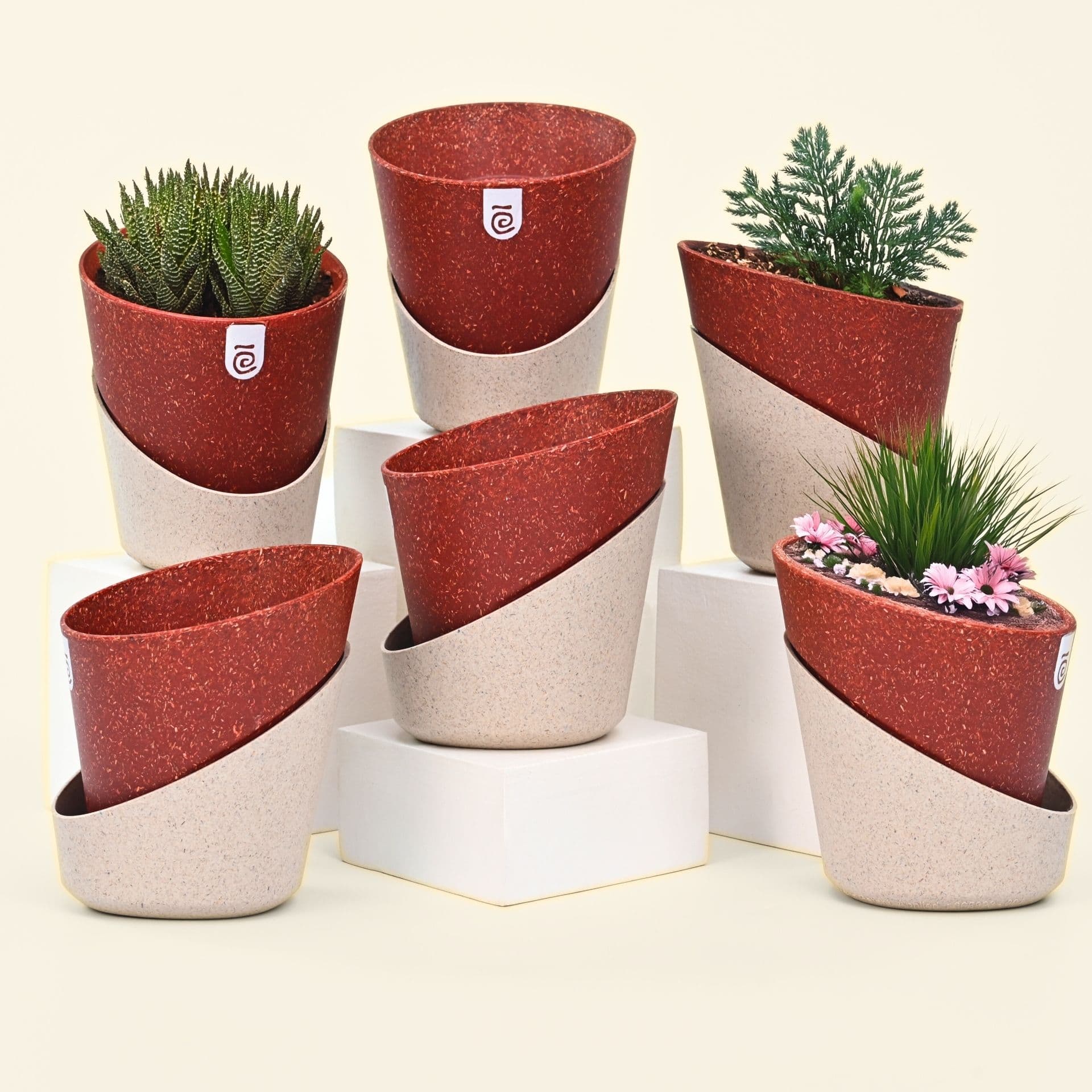 EcoBloom Planter 7 - Thumbnail 1