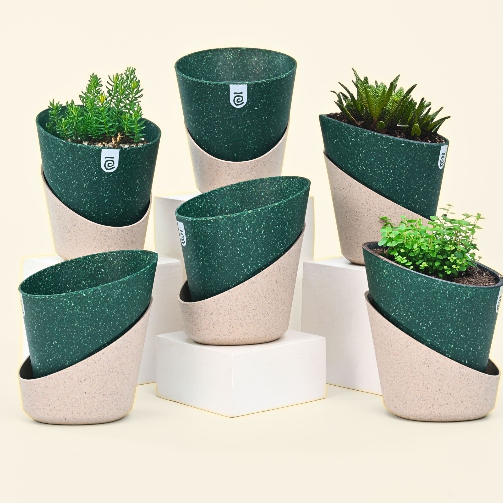 EcoBloom Planter 7 - Thumbnail 2
