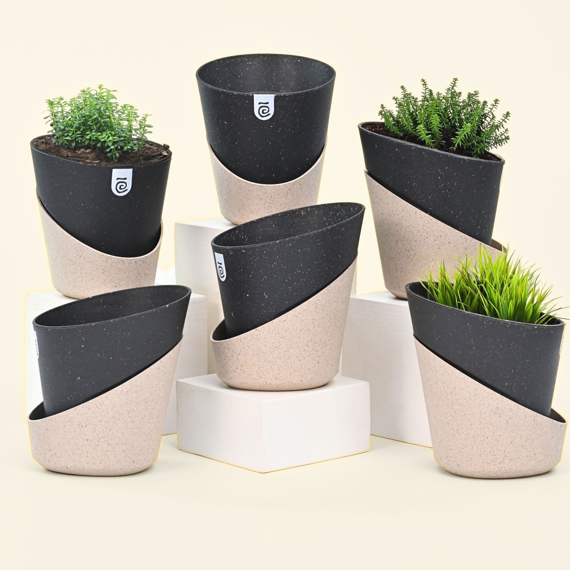 EcoBloom Planter 7 - Thumbnail 3
