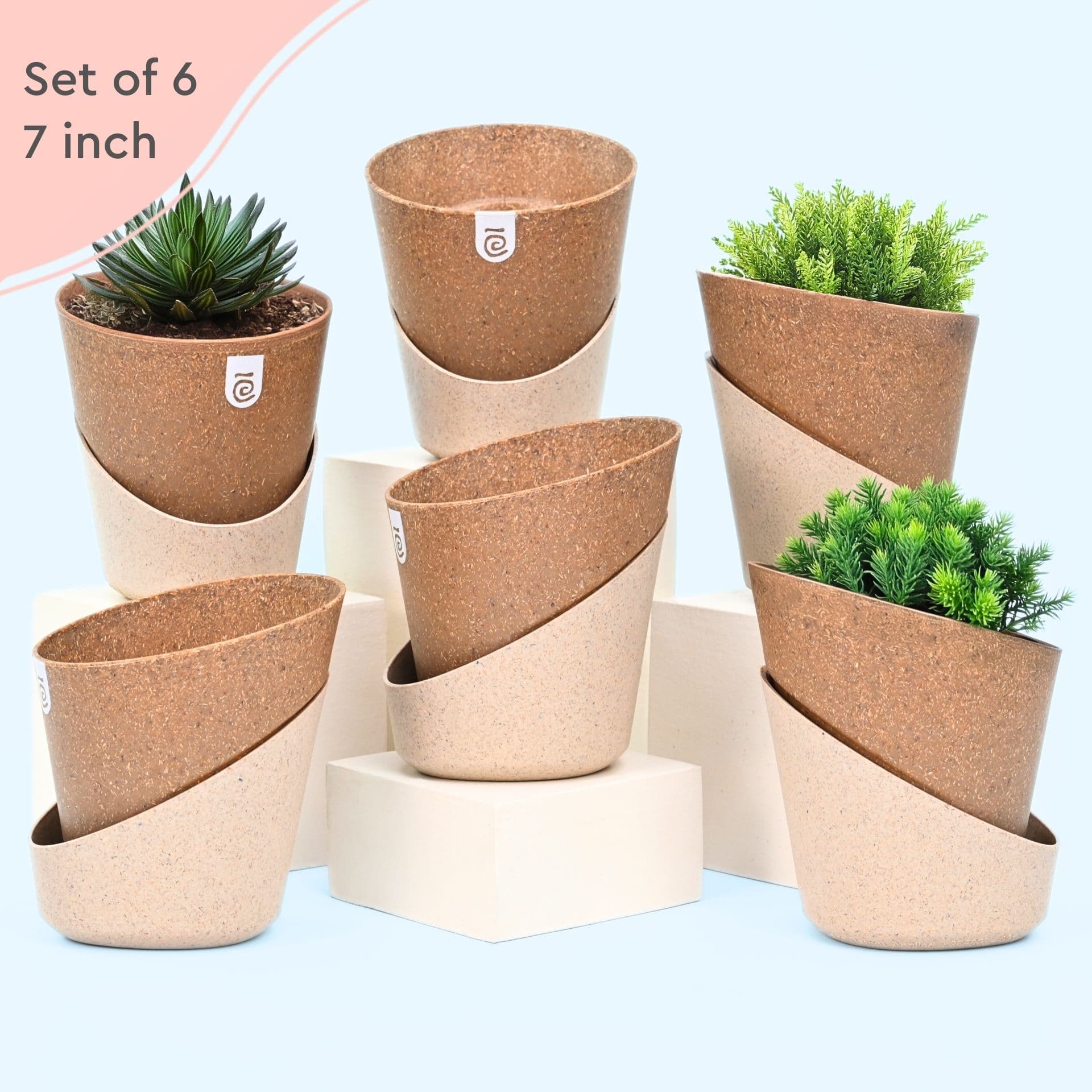 EcoBloom Planter 7 - Thumbnail 4