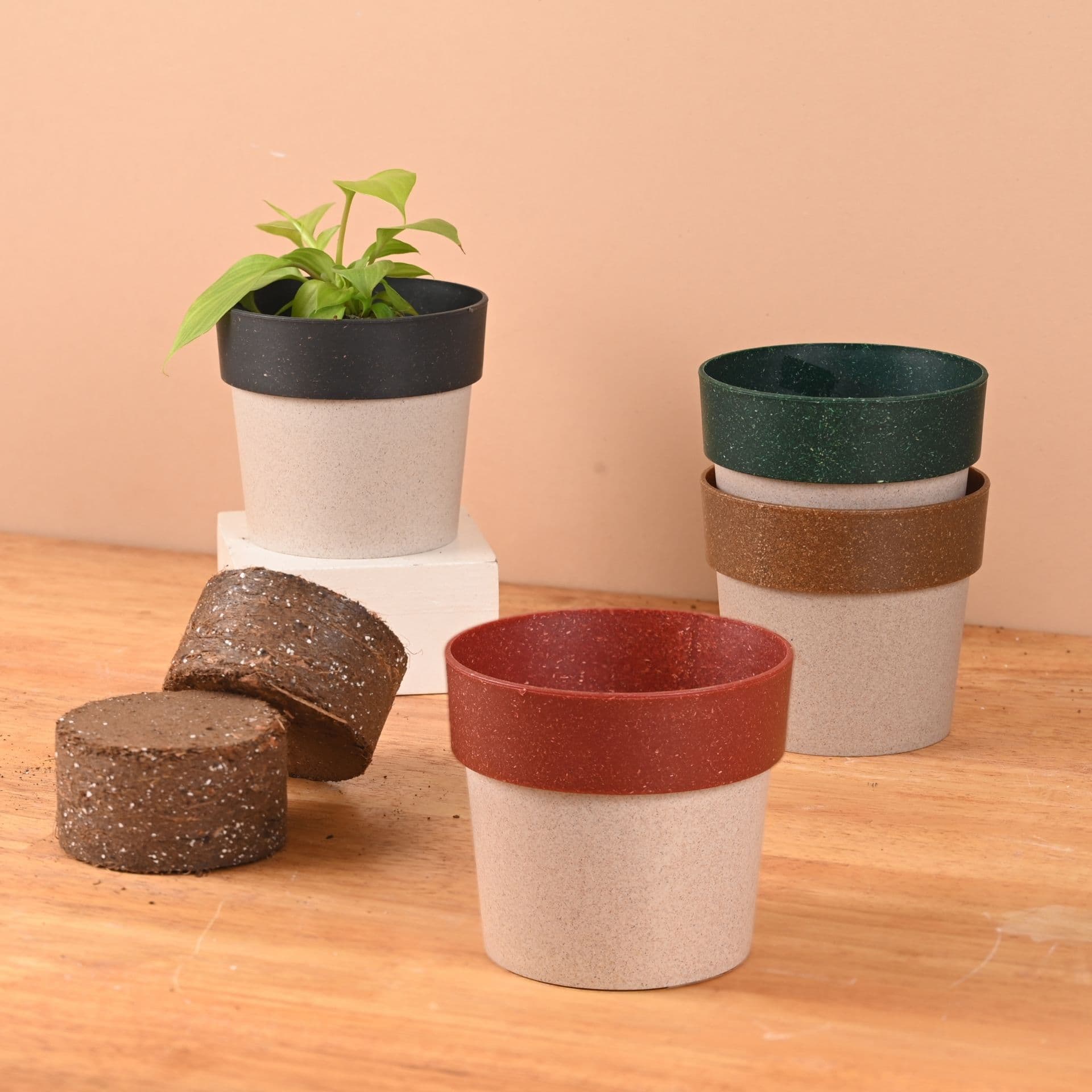 Ecopod Planter 4 - Thumbnail 4