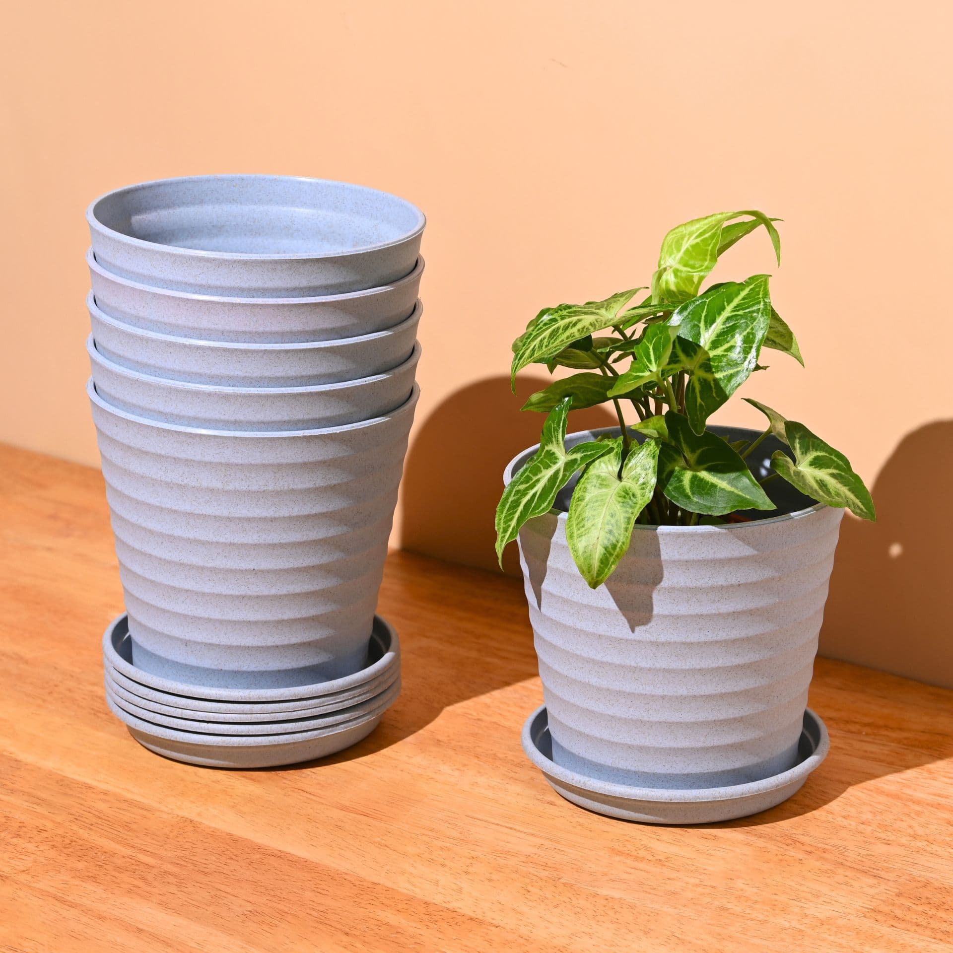 Linea Planter 5.5 - Thumbnail 1
