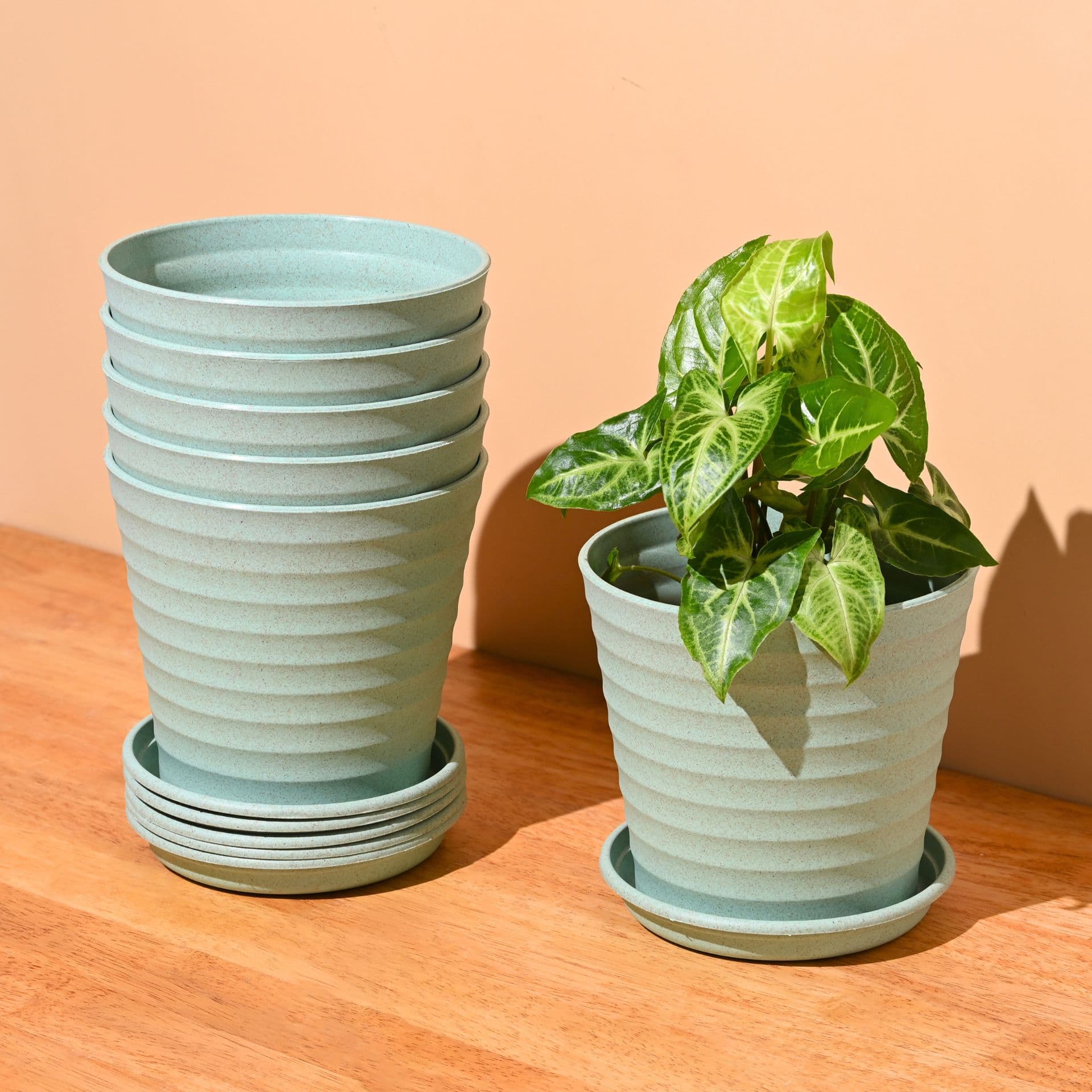 Linea Planter 5.5 - Thumbnail 2