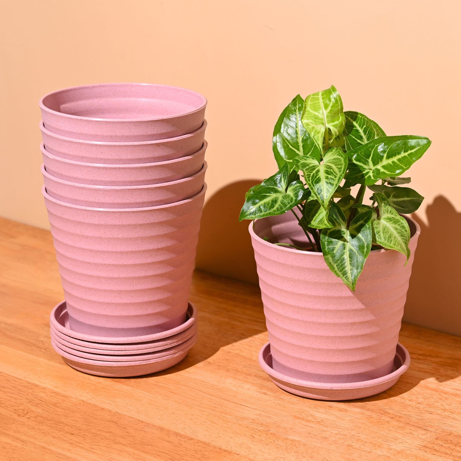 Linea Planter 5.5 - Thumbnail 3