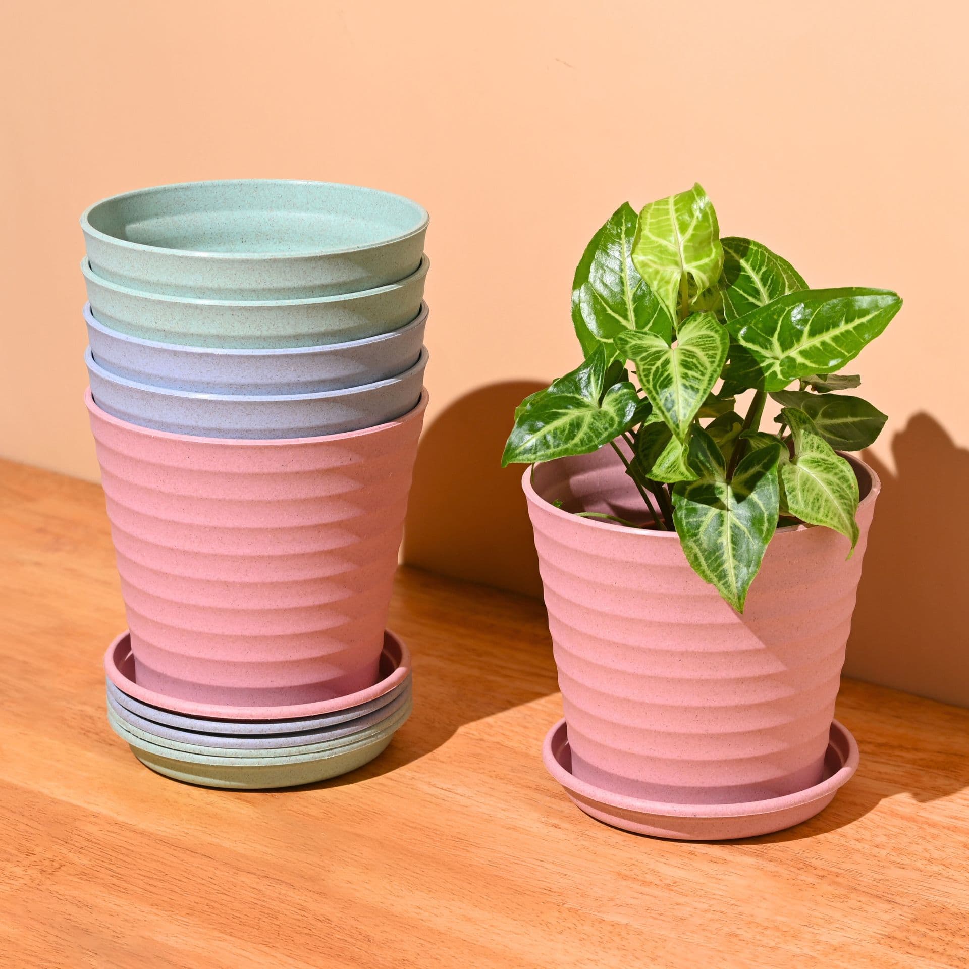 Linea Planter 5.5 - Thumbnail 4