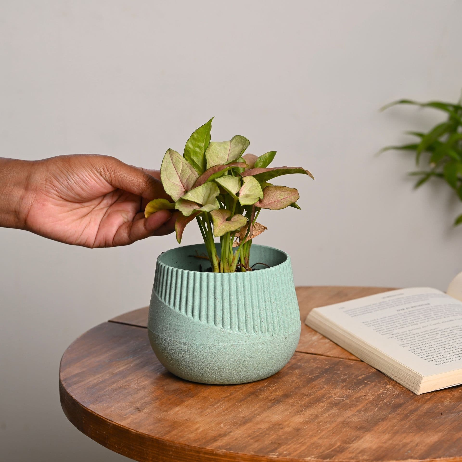 Oreo Planter 4 - Thulira sustainable product