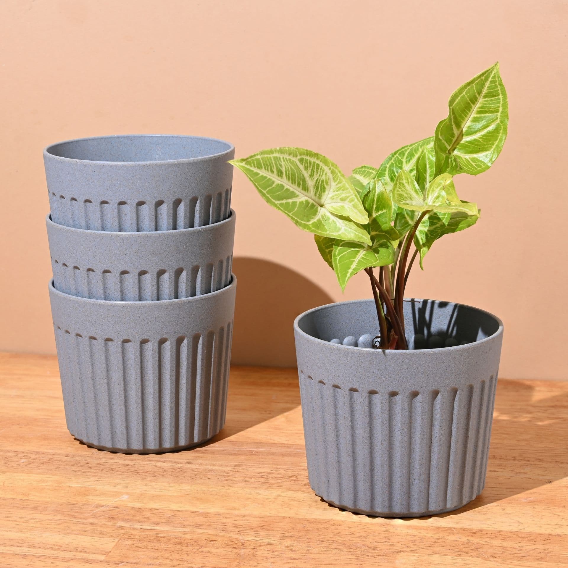 Romano Planter 5 - Thulira sustainable product