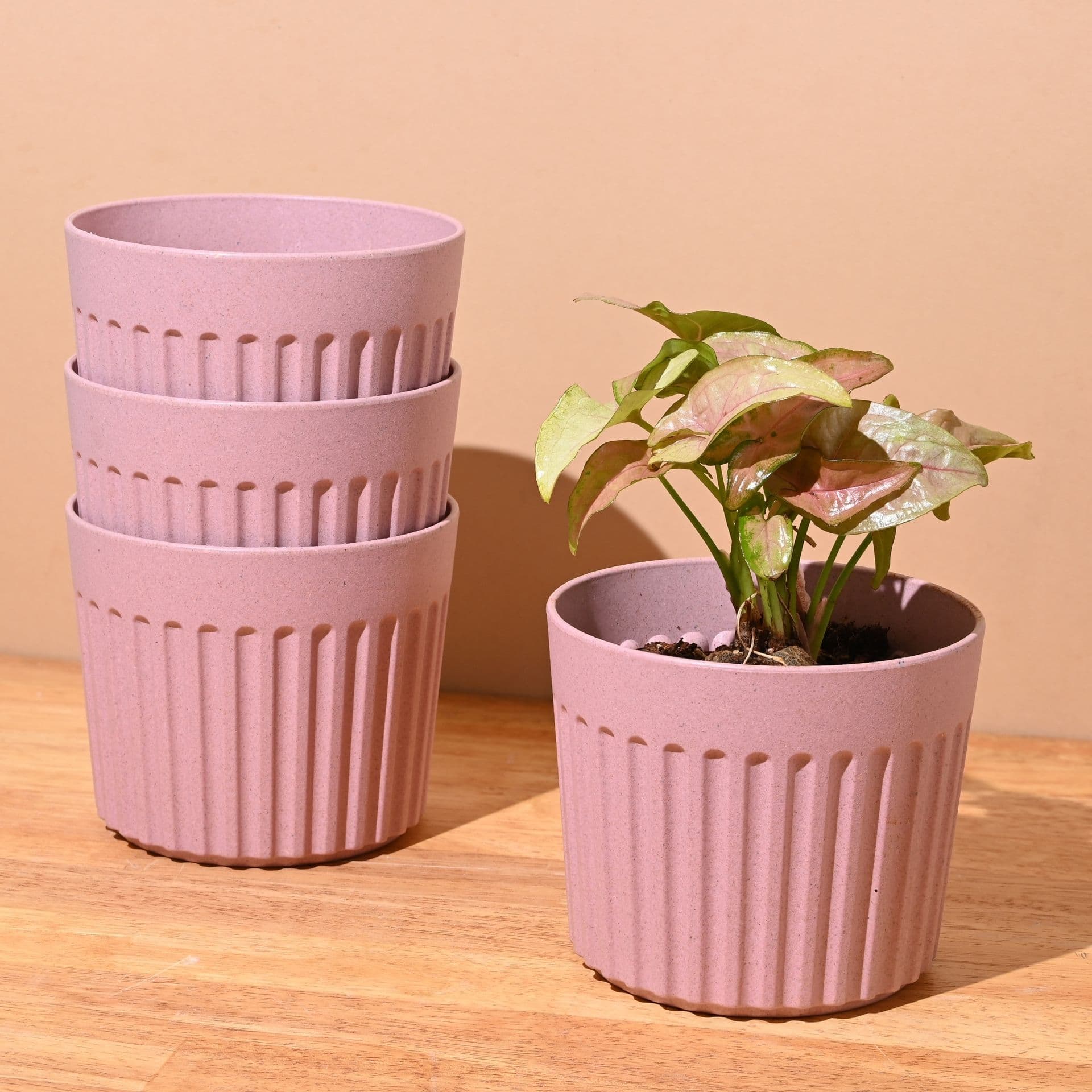 Romano Planter 5 - Thumbnail 1