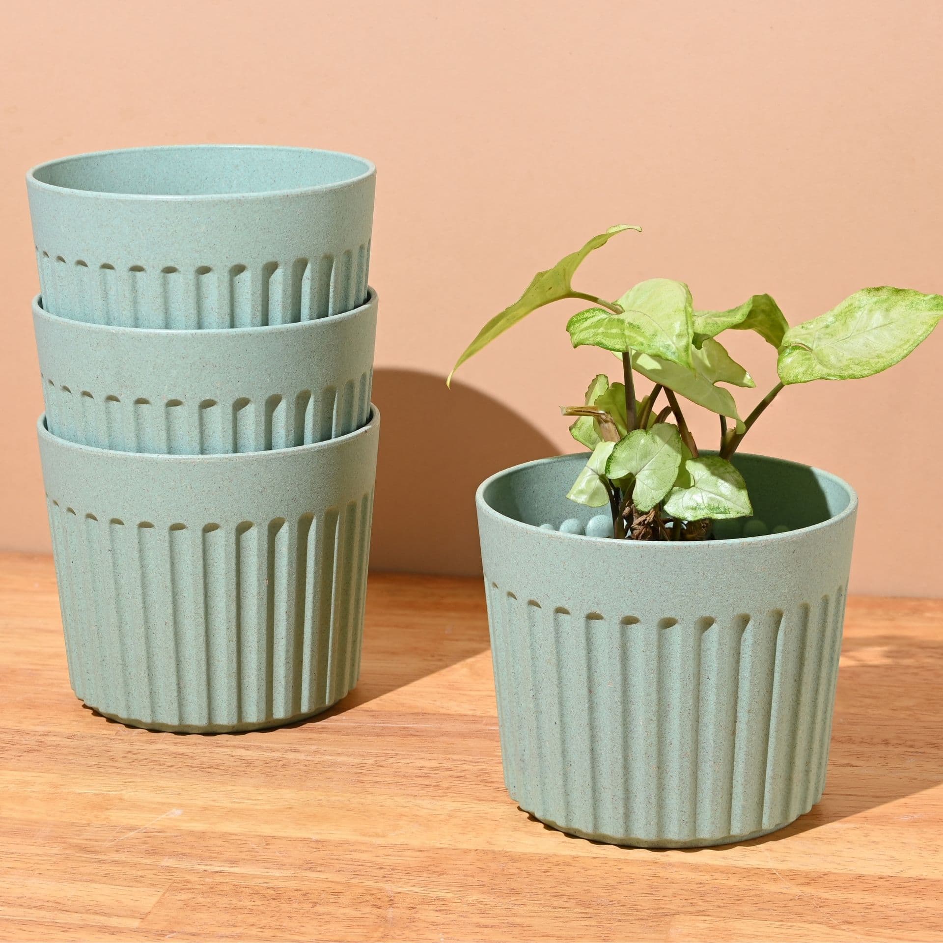Romano Planter 5 - Thumbnail 2