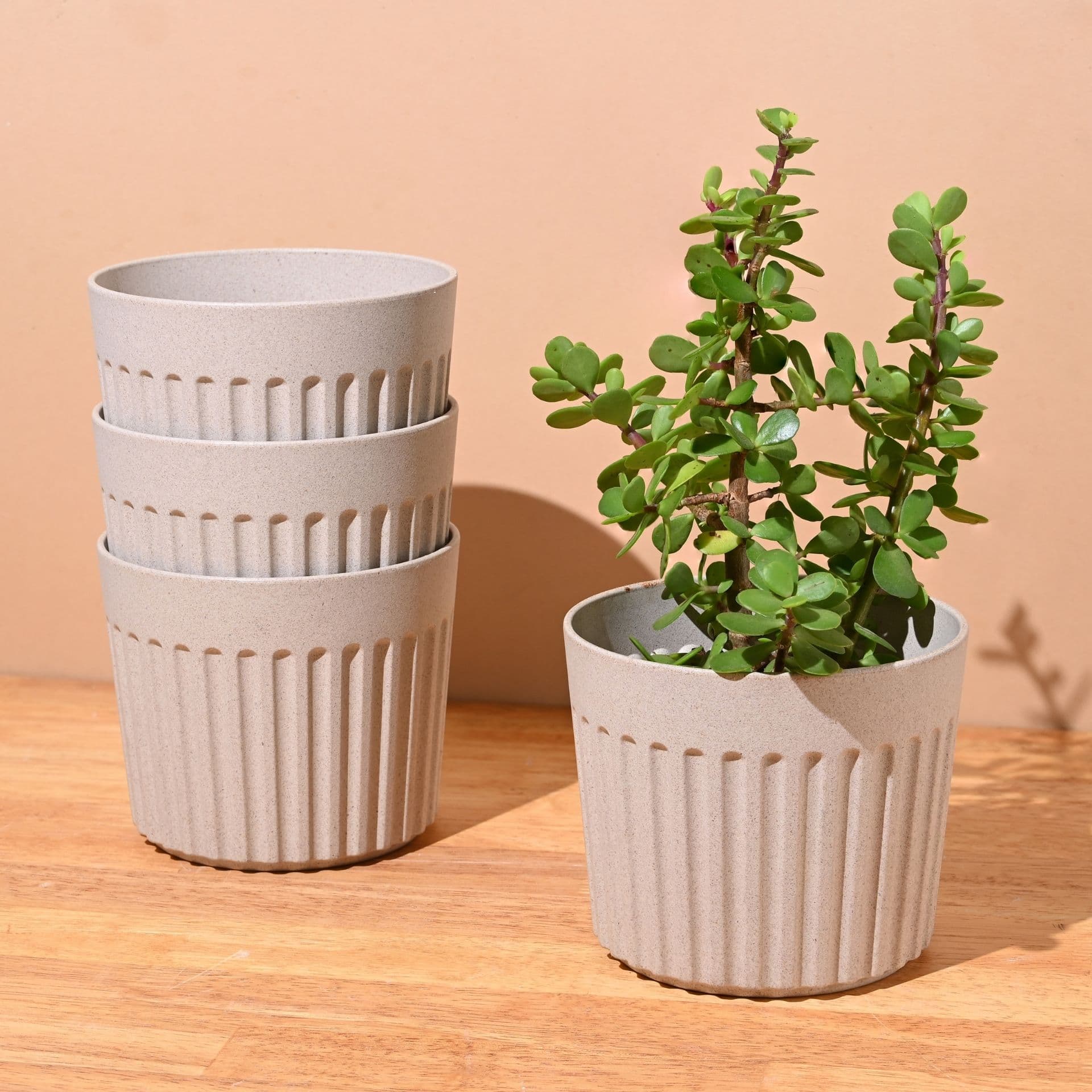 Romano Planter 5 - Thumbnail 3