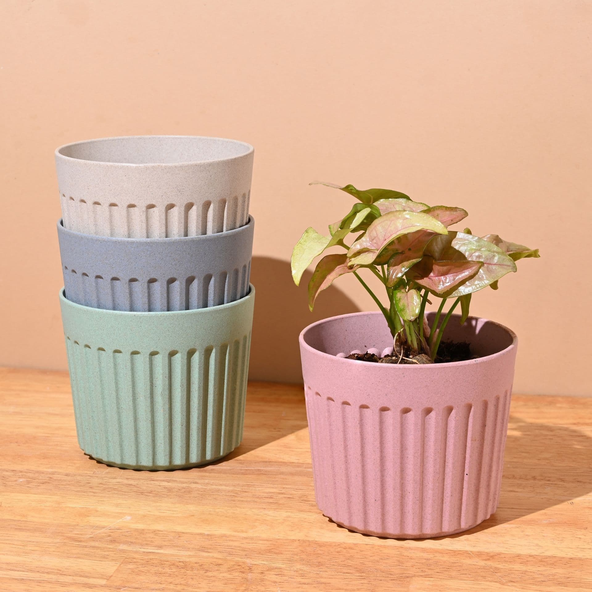 Romano Planter 5 - Thumbnail 4