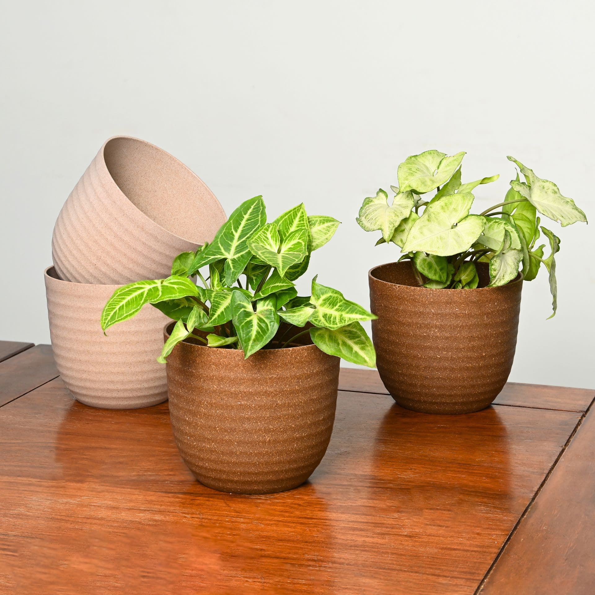 Verona Planter 4 - Thumbnail 1