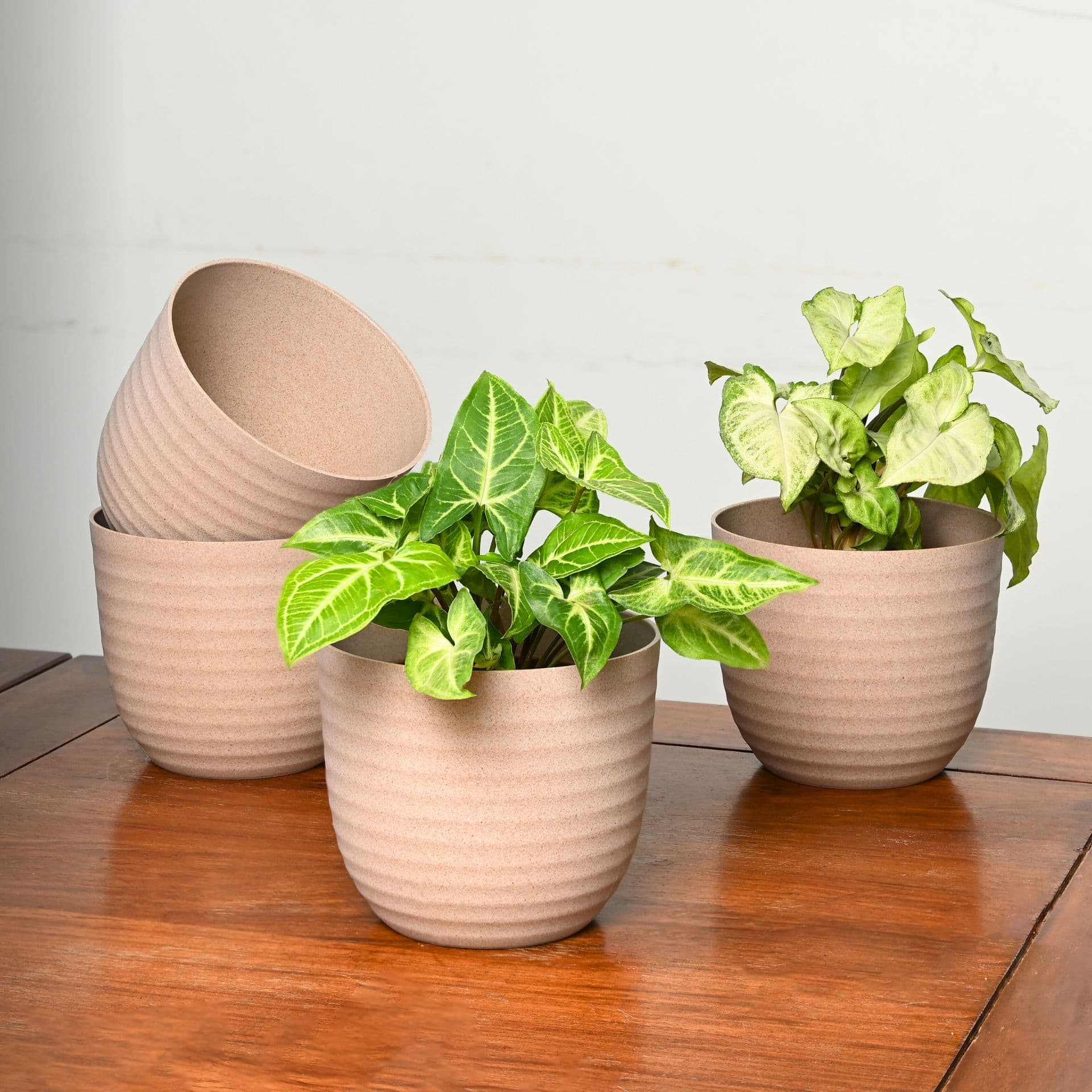 Verona Planter 4 - Thumbnail 2