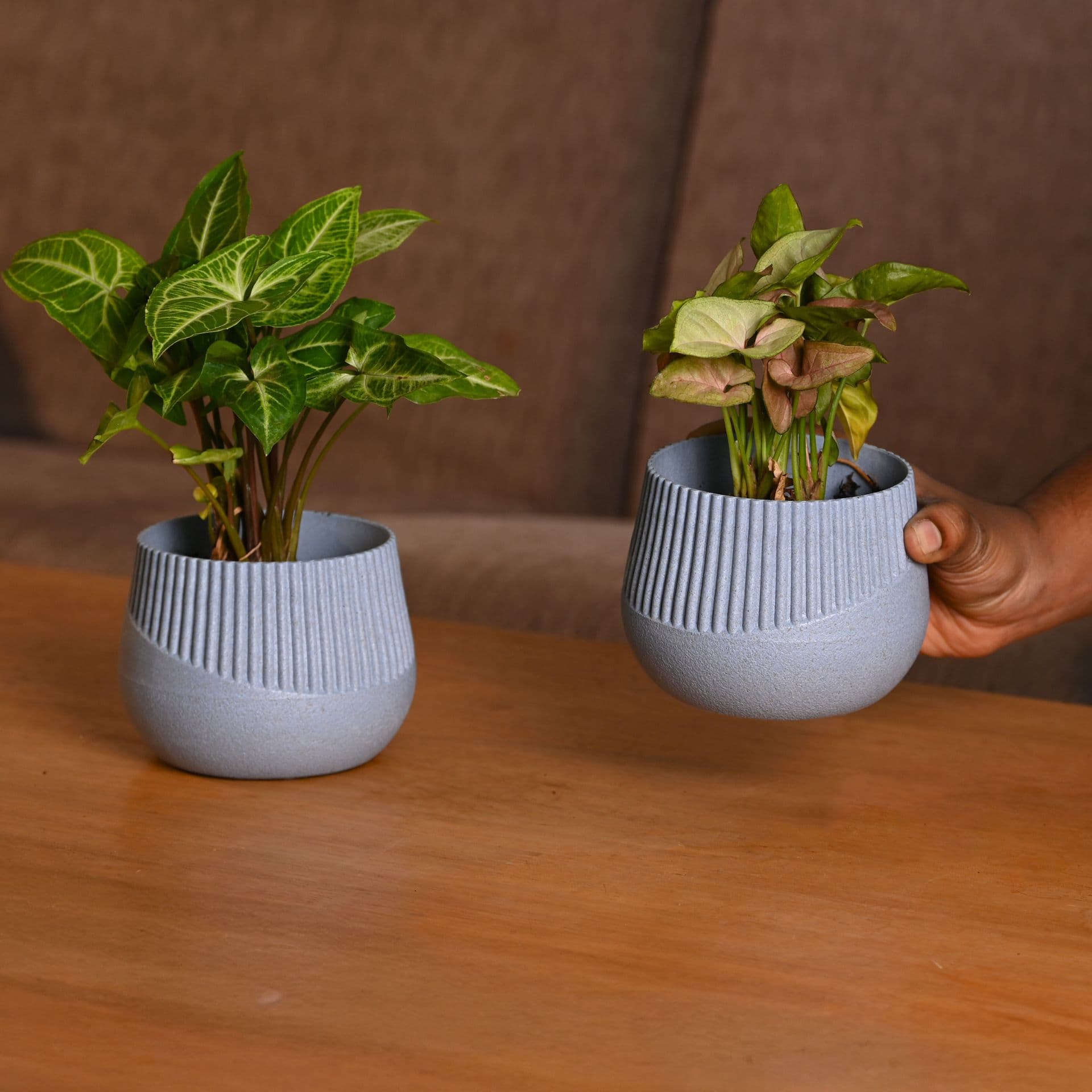 oreo small indoor planter from bamboo fiber - Thulira sustainable product