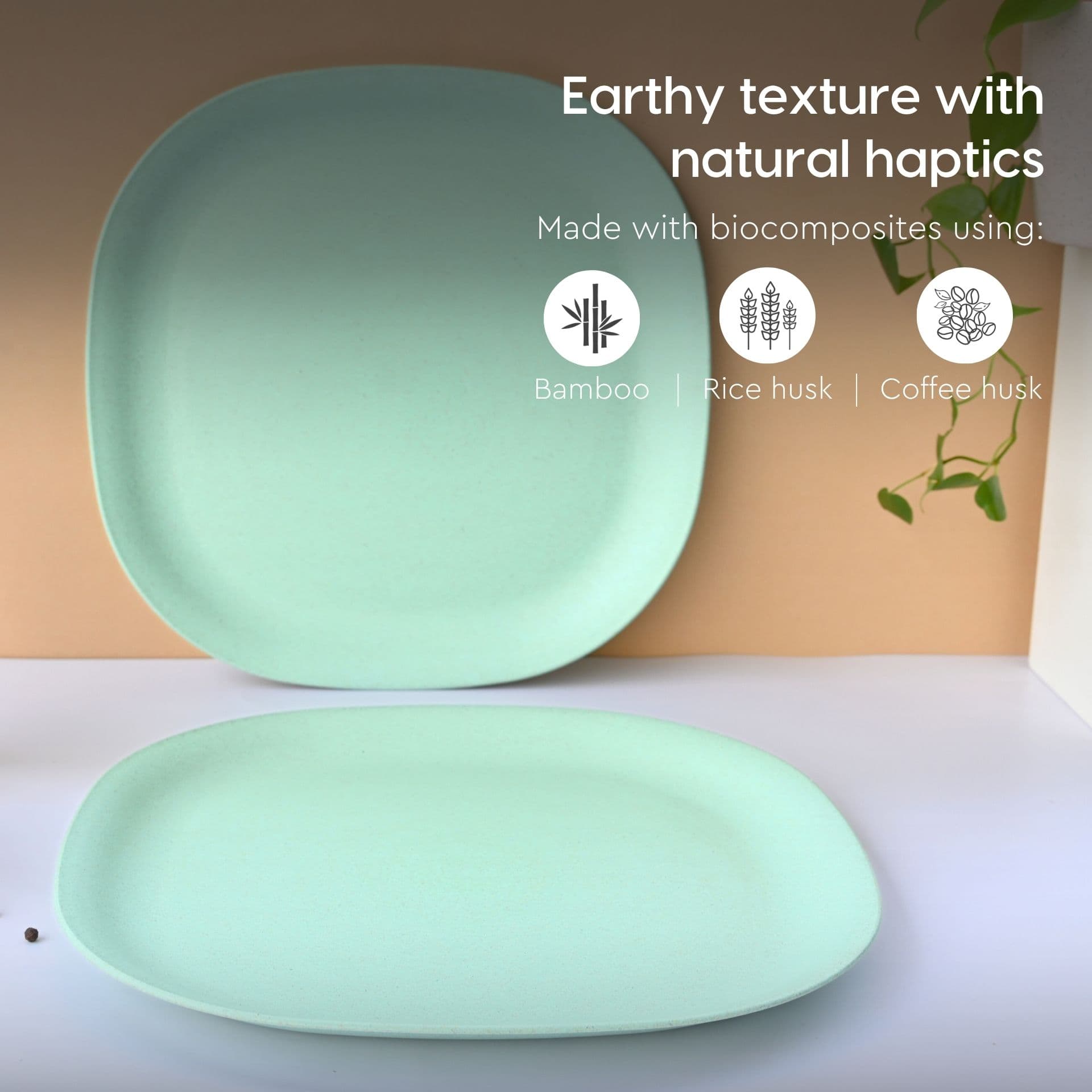11 Inch Dinner Plate and Soup Bowl ( 250 ml ) with Spoon - Thumbnail 4