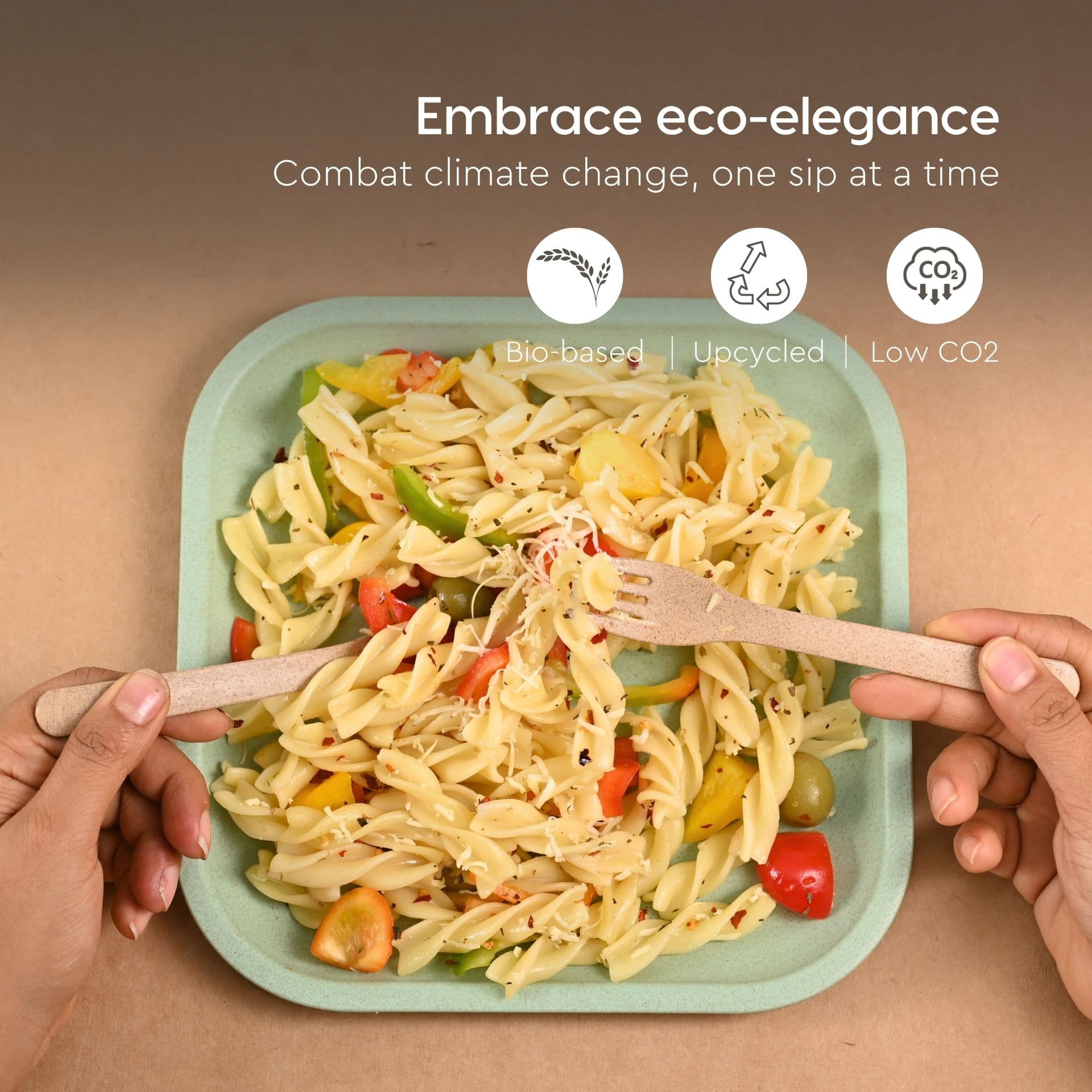 8 inch Small Snack Serving Plates and Curry bowl (175ml) - Thumbnail 2