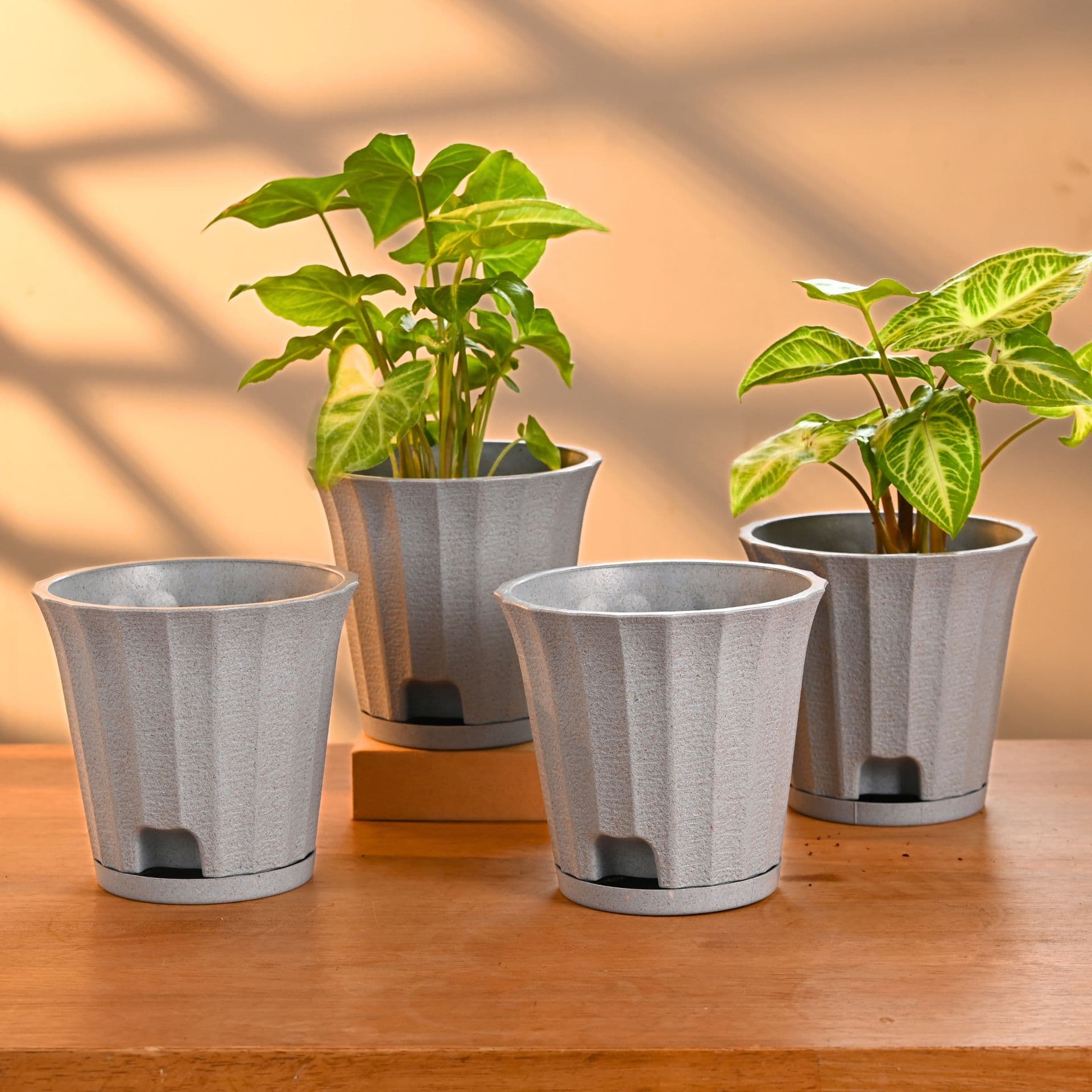 earth friendly ace 5 inch set of 4 small self watering pots for indoor plants plant pot made with bamboo fibers table top planters for home decor flower pot for living room - View 1