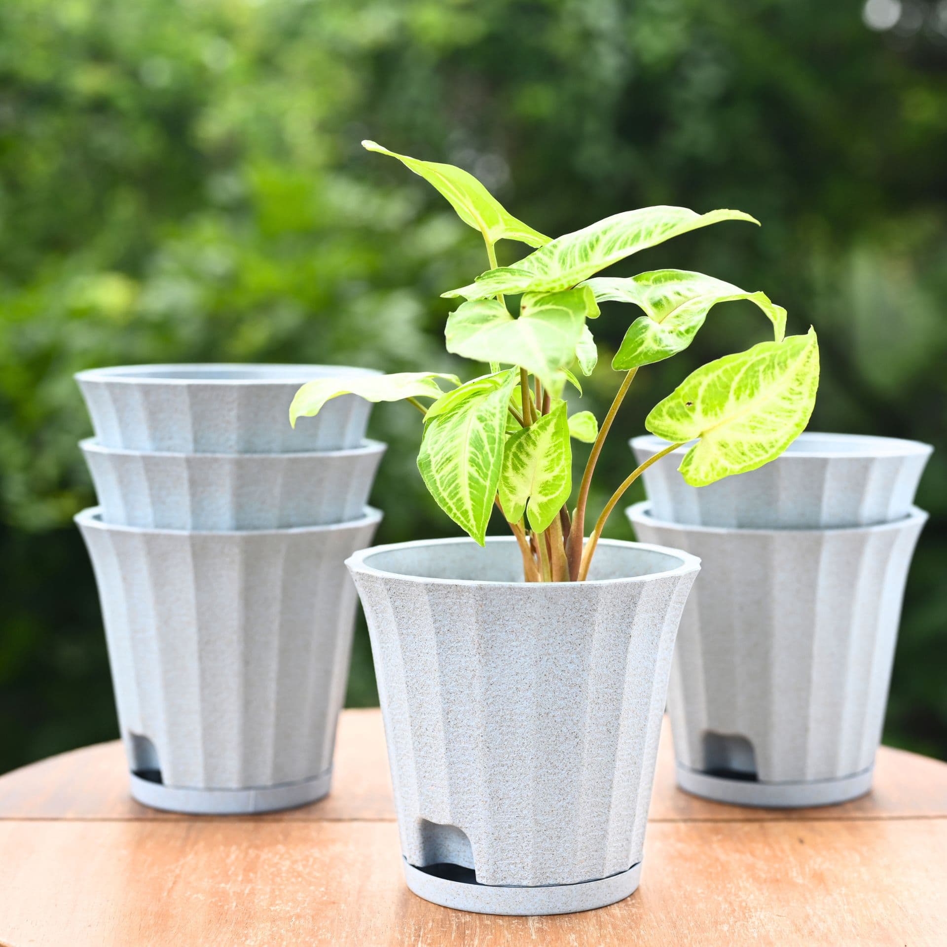 earth friendly ace 5 inch set of 6 small self watering pots for indoor plants plant pot made with bamboo fibers table top planters for home decor flower pot for living room - View 1
