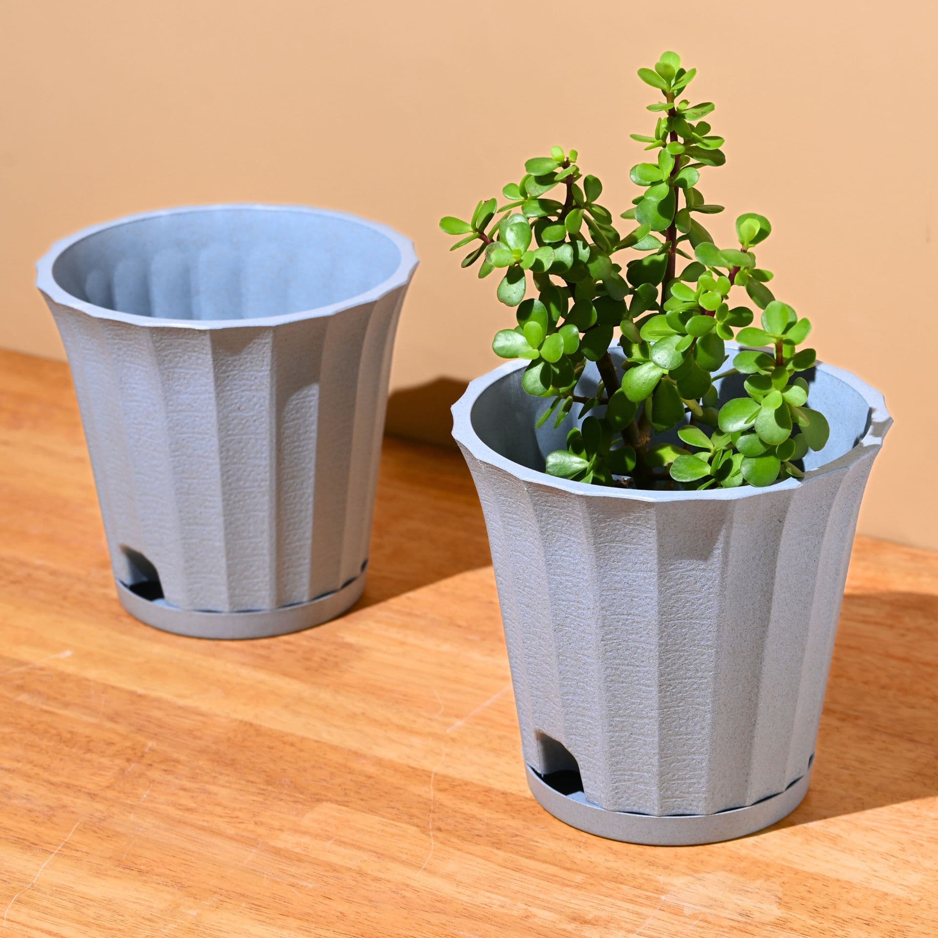 earth friendly ace 7 inch set of 2 small self watering pots for indoor plants plant pot made with bamboo fibers table top planters for home decor flower pot for living room - View 1