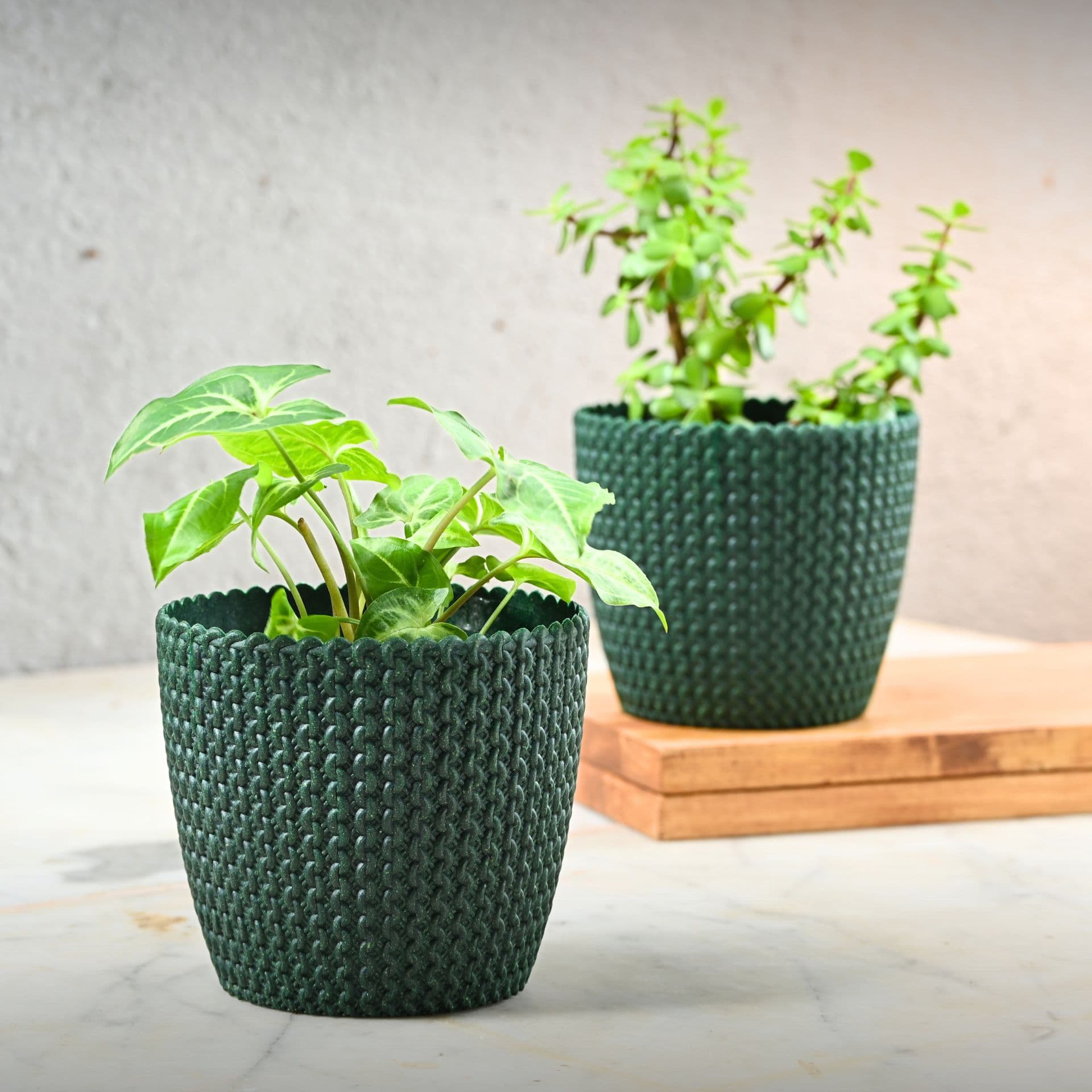 earth friendly link 5 5 inch set of 2 small pots for indoor plants plant pot made with bamboo fibers table top planters for home decor and office flower pot for living room - View 1