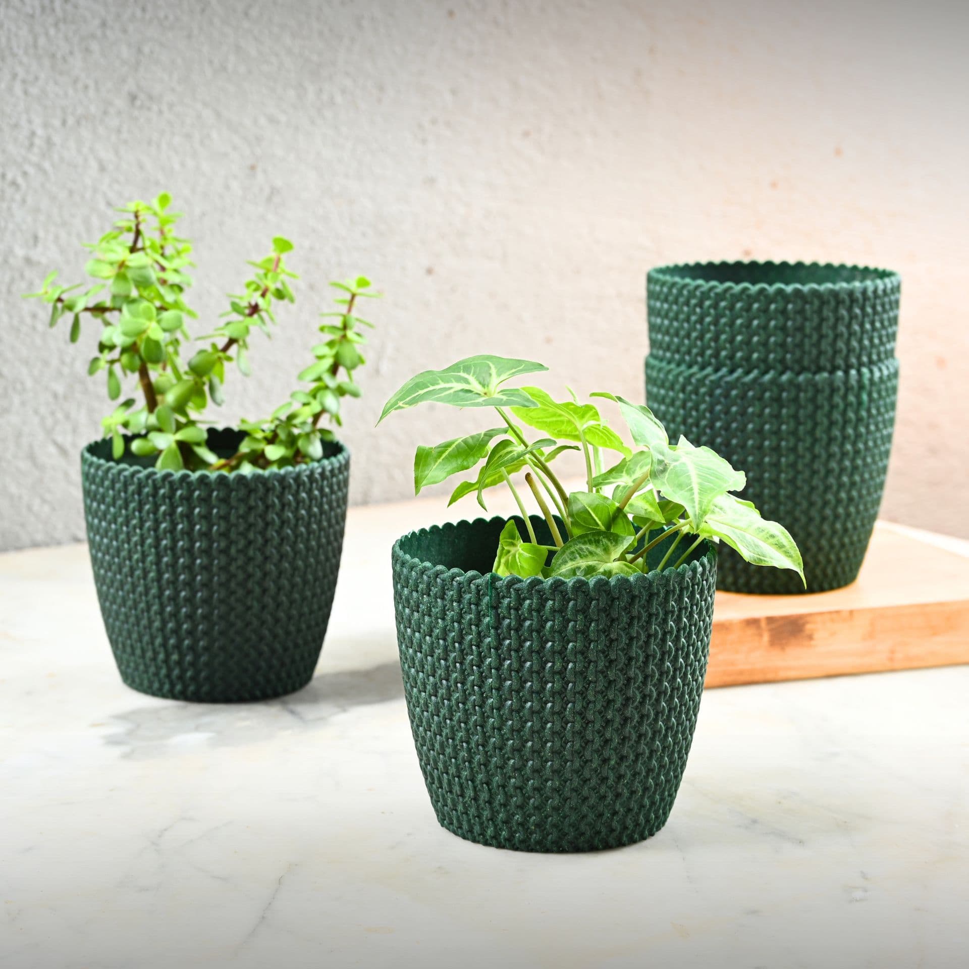 earth friendly link 5 5 inch set of 4 small pots for indoor plants plant pot made with bamboo fibers table top planters for home decor and office flower pot for living room - View 1