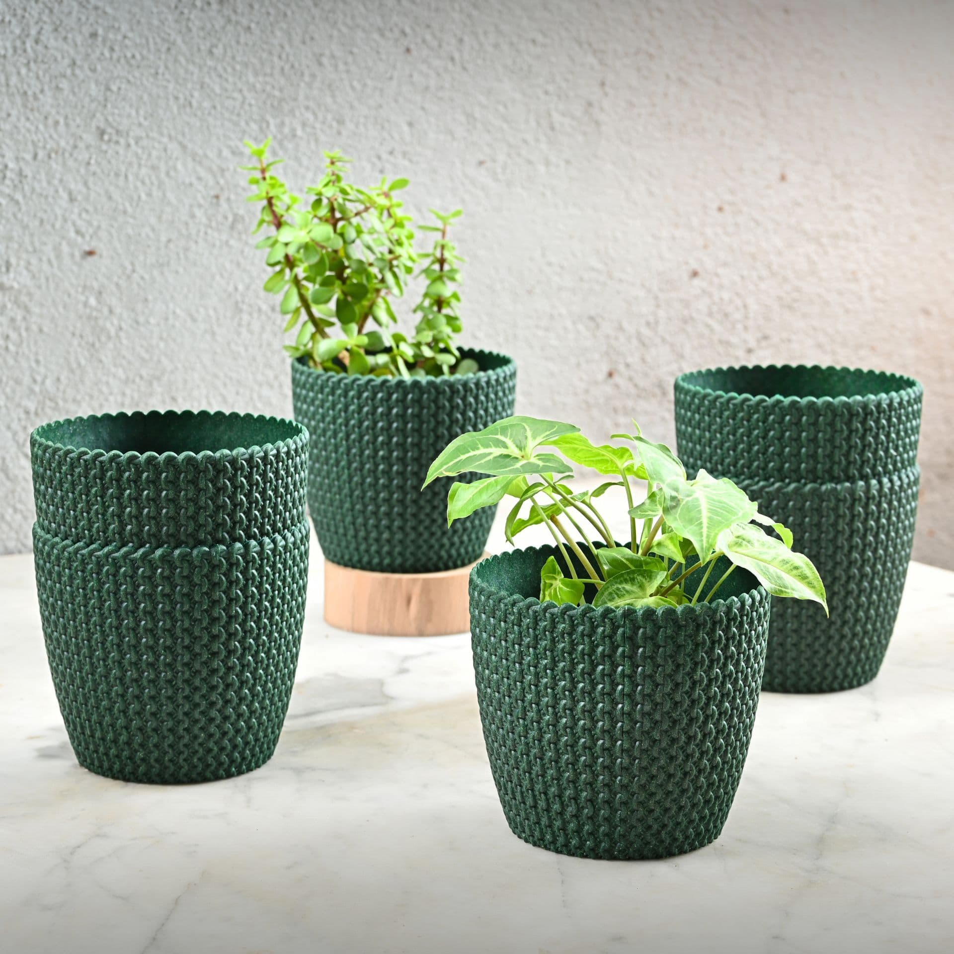 earth friendly link 5 5 inch set of 6 small pots for indoor plants plant pot made with bamboo fibers table top planters for home decor and office flower pot for living room - View 1