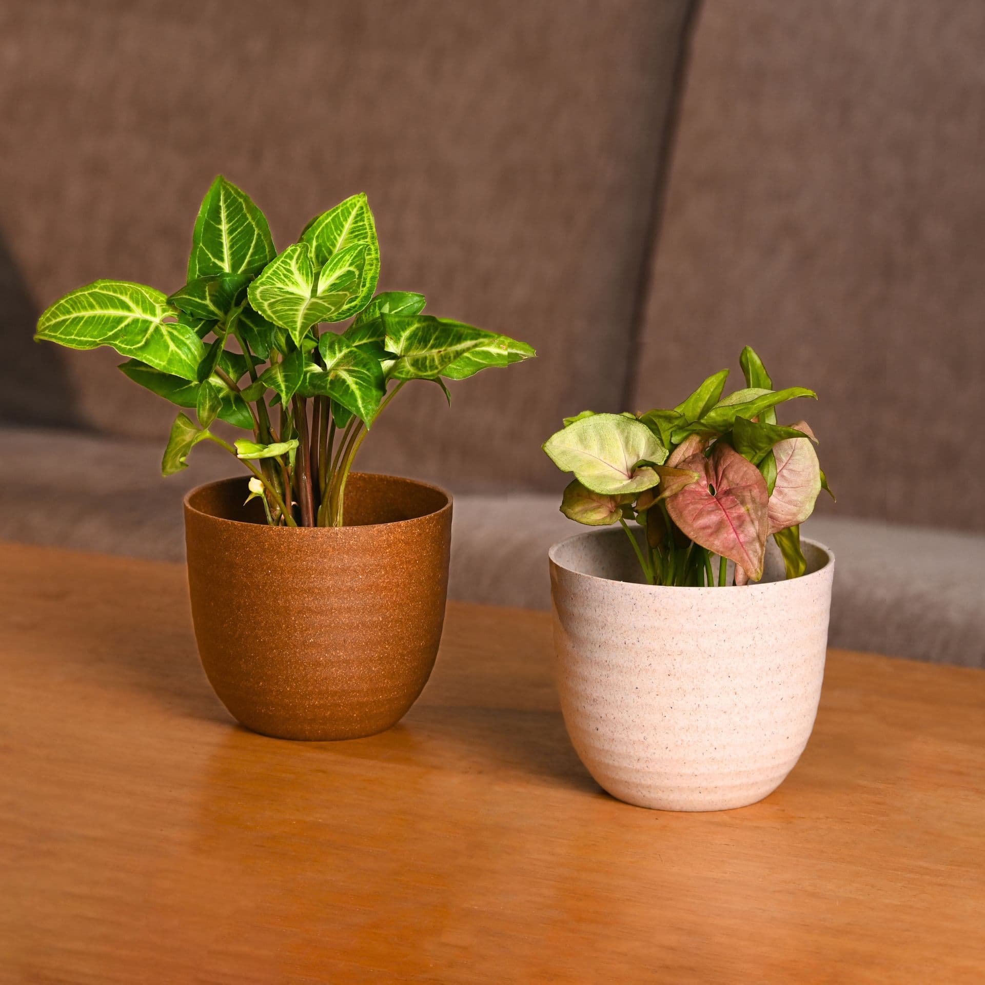 verona 4 inch round tabletop planter from biocomposites - View 1
