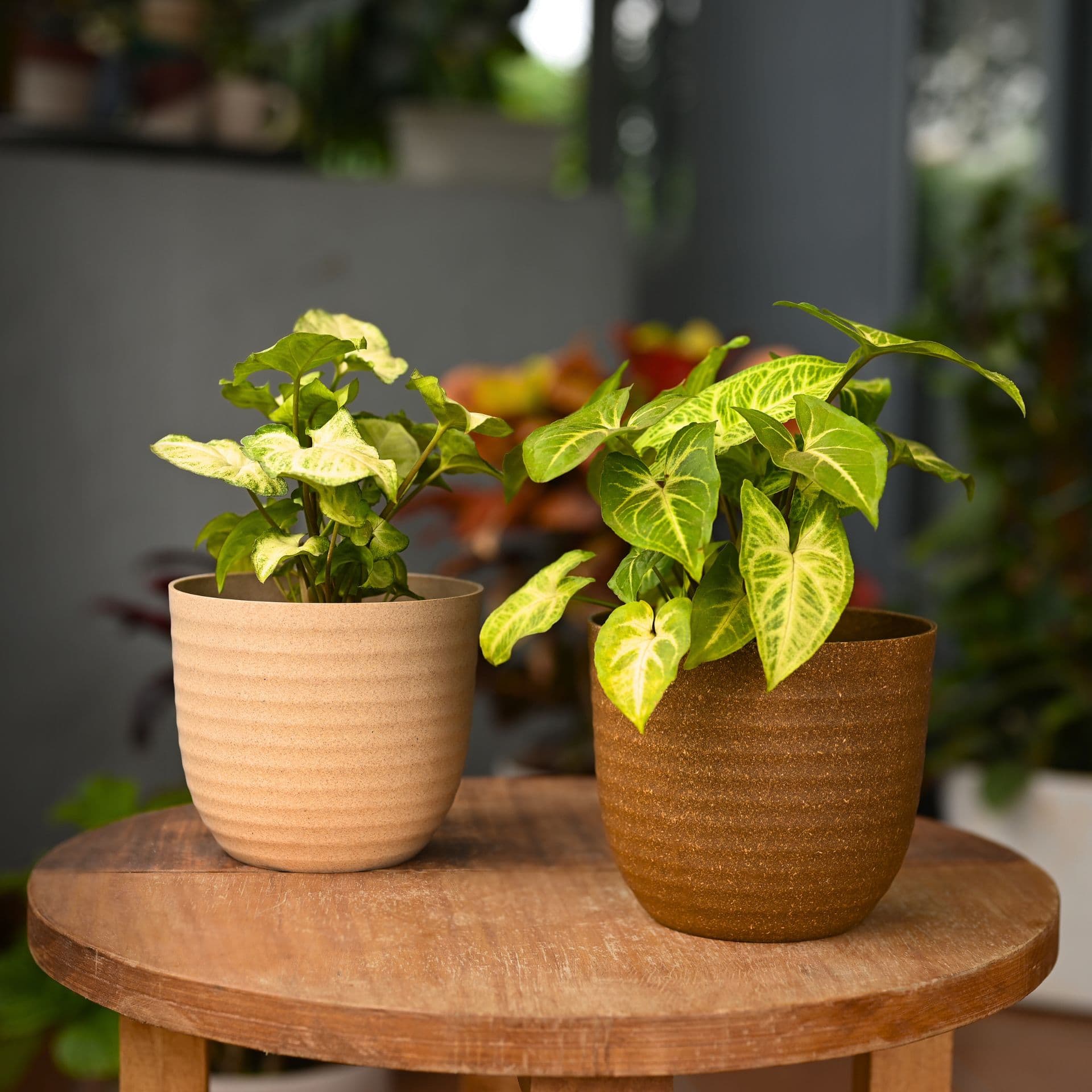 verona 5 inch small round planters from bamboo fiber - View 1
