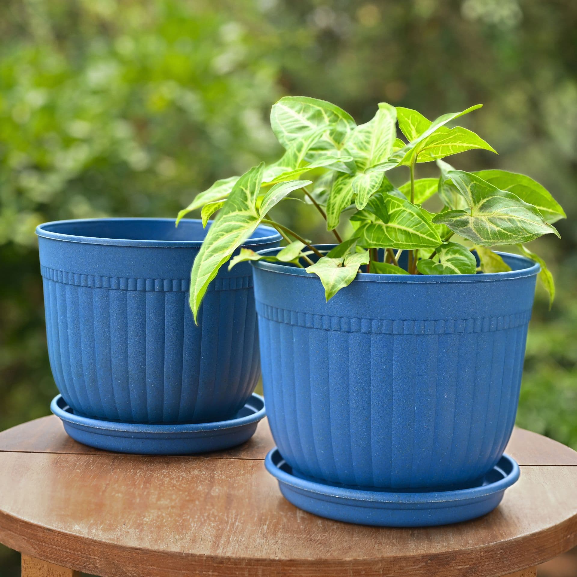 eha earth friendly petal pot 7 inch pack of 2 pots for plants bamboo based plant pots uv protected planters for home indoor outdoor balcony garden flower pots - View 1